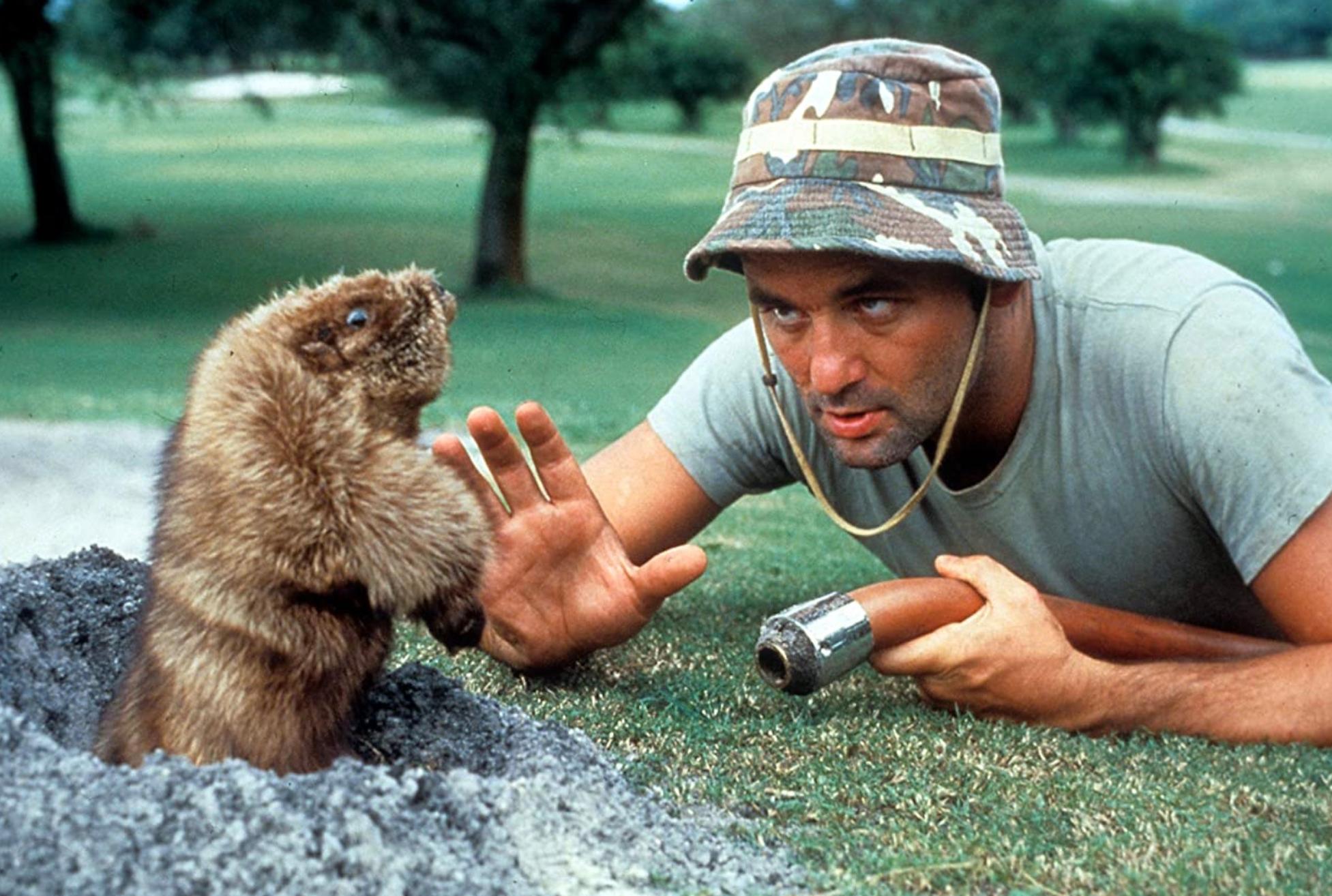 The Best Comedies to Stream on Netflix Right Now - Vimarsana News