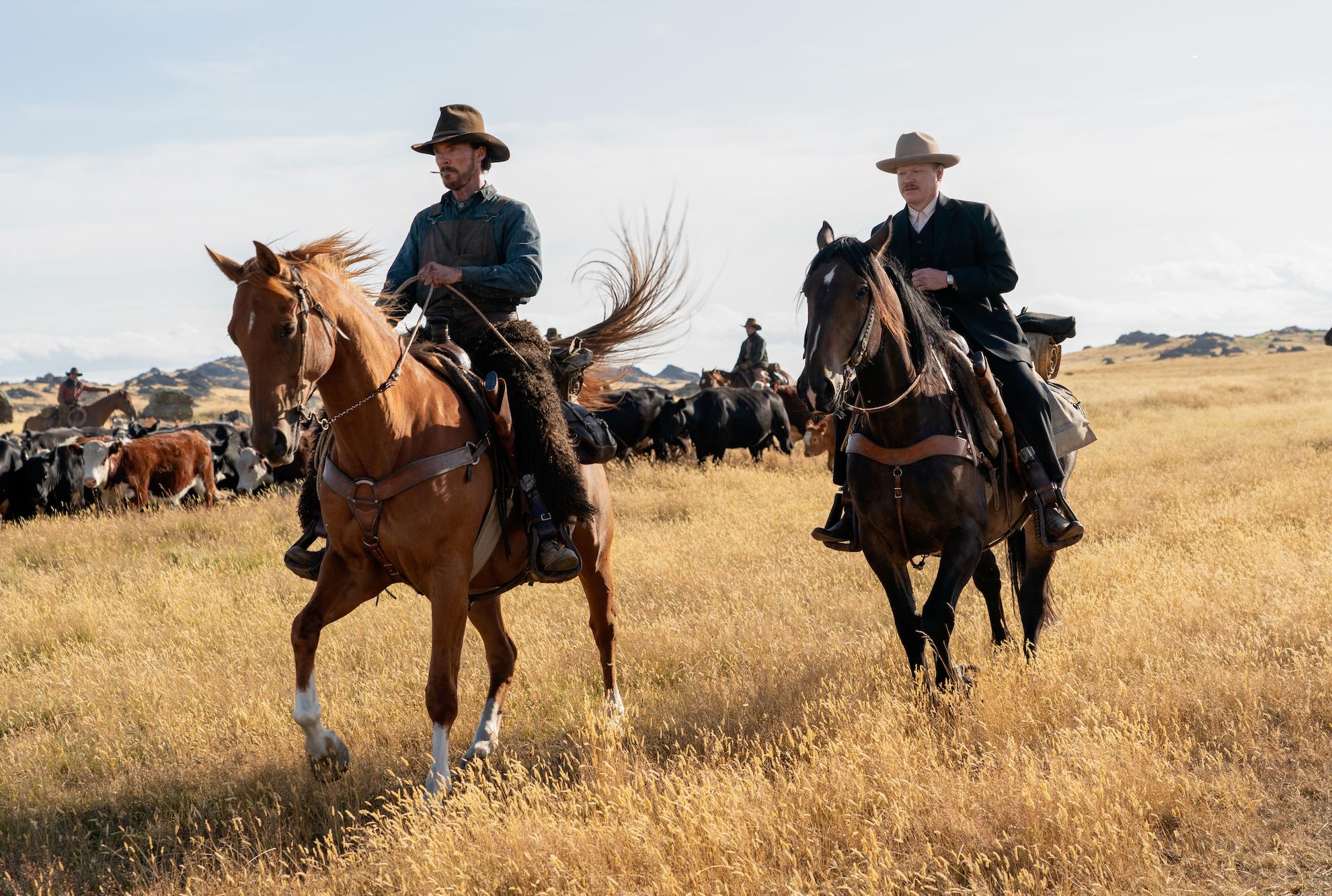 Where to Stream 34 of the This Year's Oscar-Nominated Movies Online - Vimarsana News