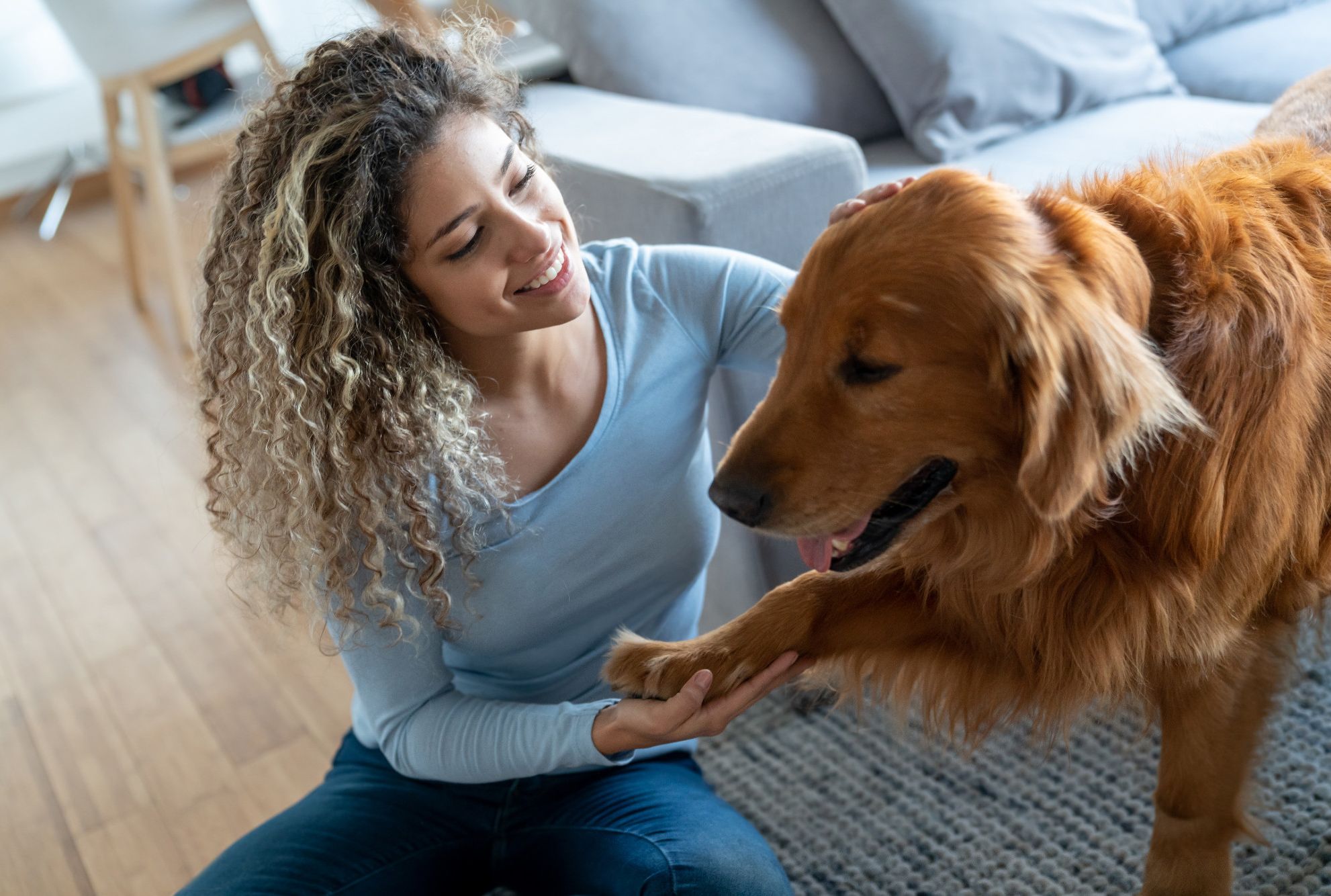 The Reason Dogs Put Their Paws On You Mental Floss