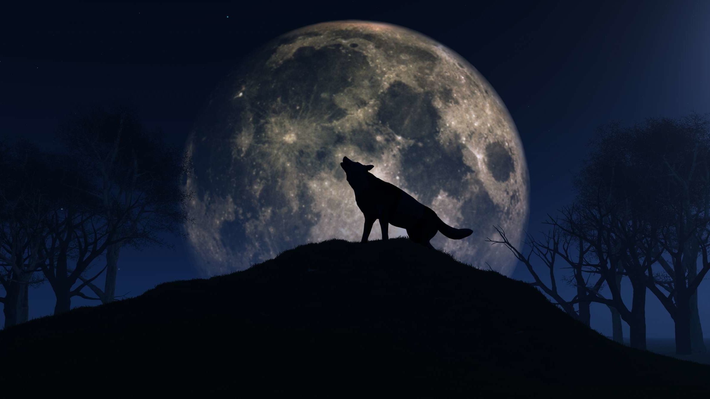Wolf Moon Eclipse 2020 | Mental Floss