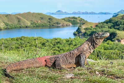 USO/iStock via Getty Images