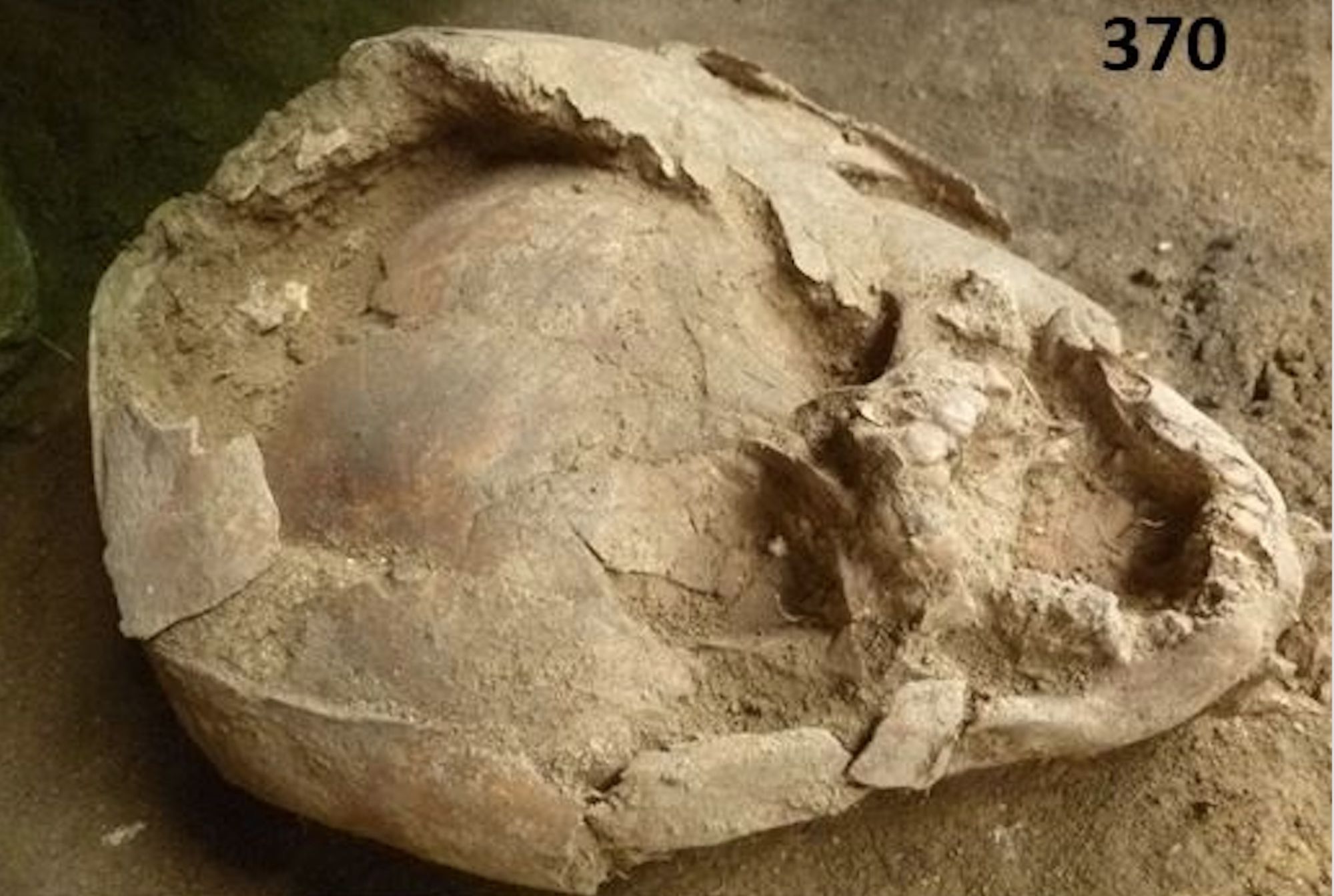 Infant Skeletons Found Wearing Child Skulls Mental Floss