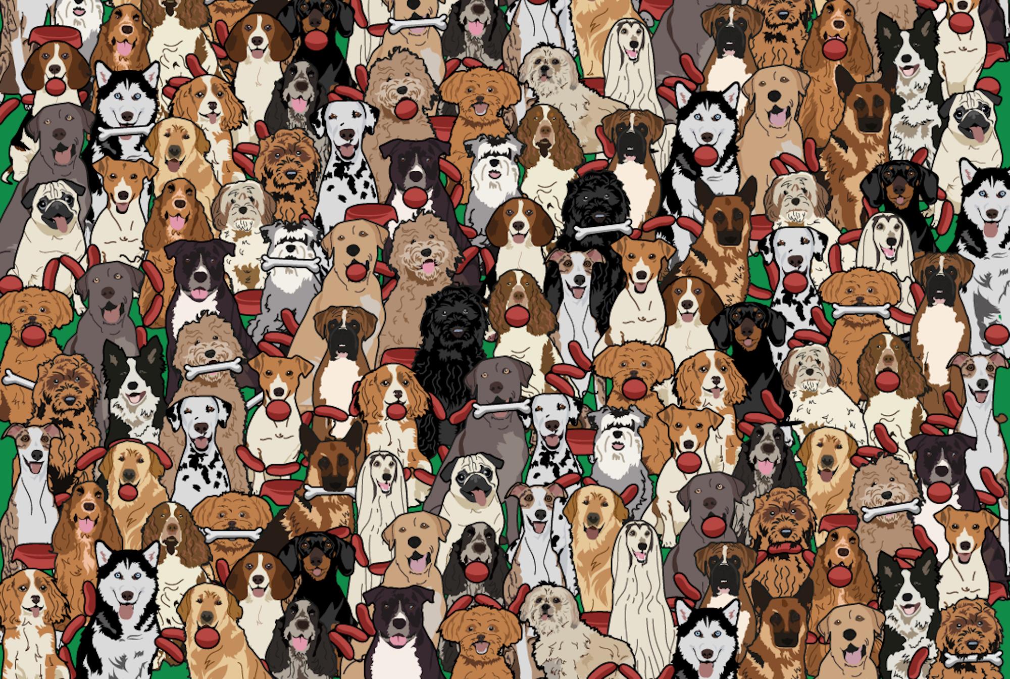 Spot the Dog With Stolen Sausage in This Brainteaser - Vimarsana News