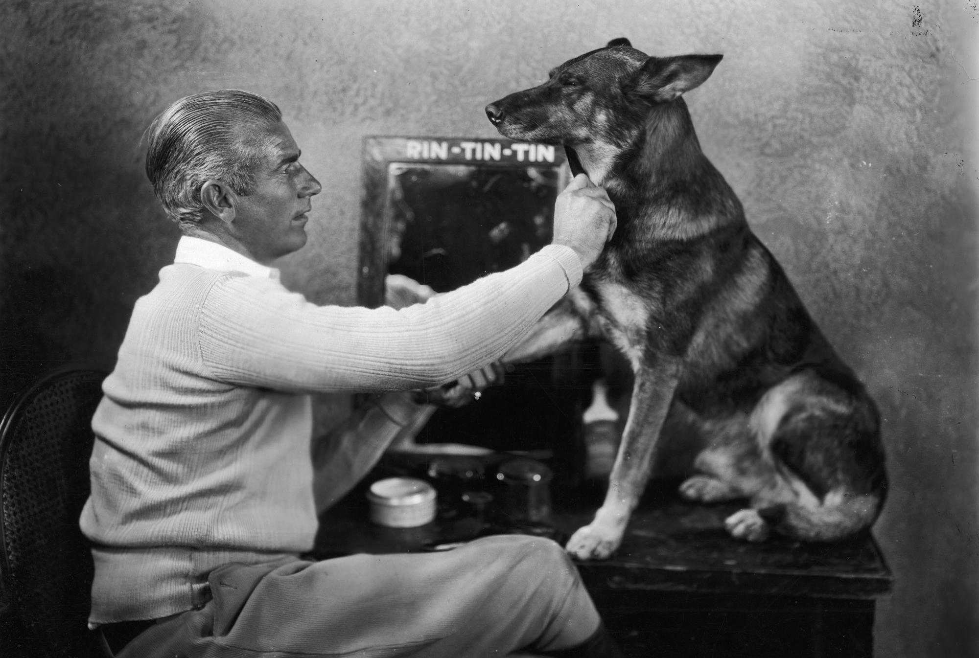 10 Facts About Hollywood's Biggest Animal Stars - Vimarsana News