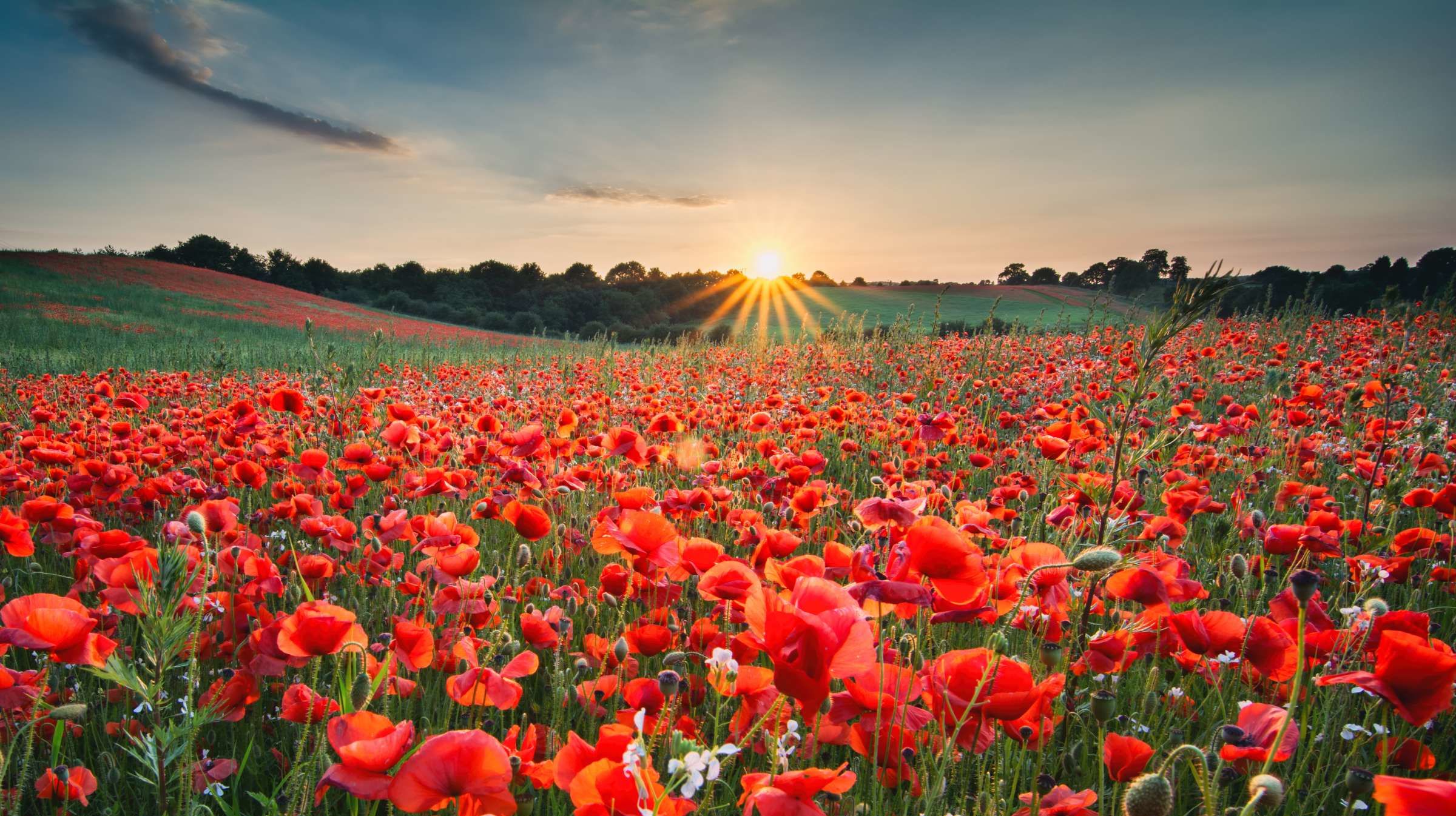 Facts About The Summer Solstice Mental Floss