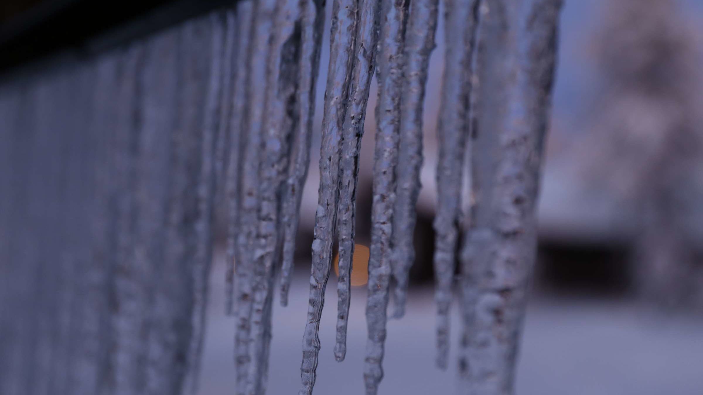 Icicles Contain Bird Poop So Think Twice Before Licking One Mental Floss Icicles Contain Bird Poop So Think Twice Before Licking One Mental Floss
