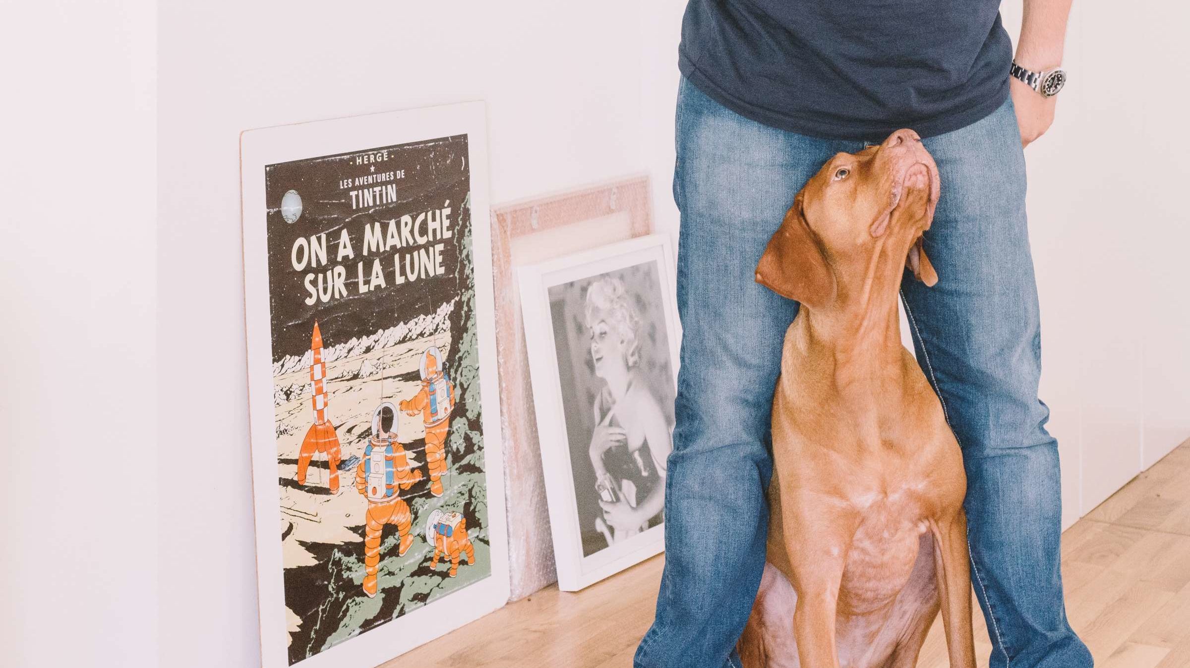 Why Your Dog Follows You Mental Floss why-your-dog-follows-you-mental-floss