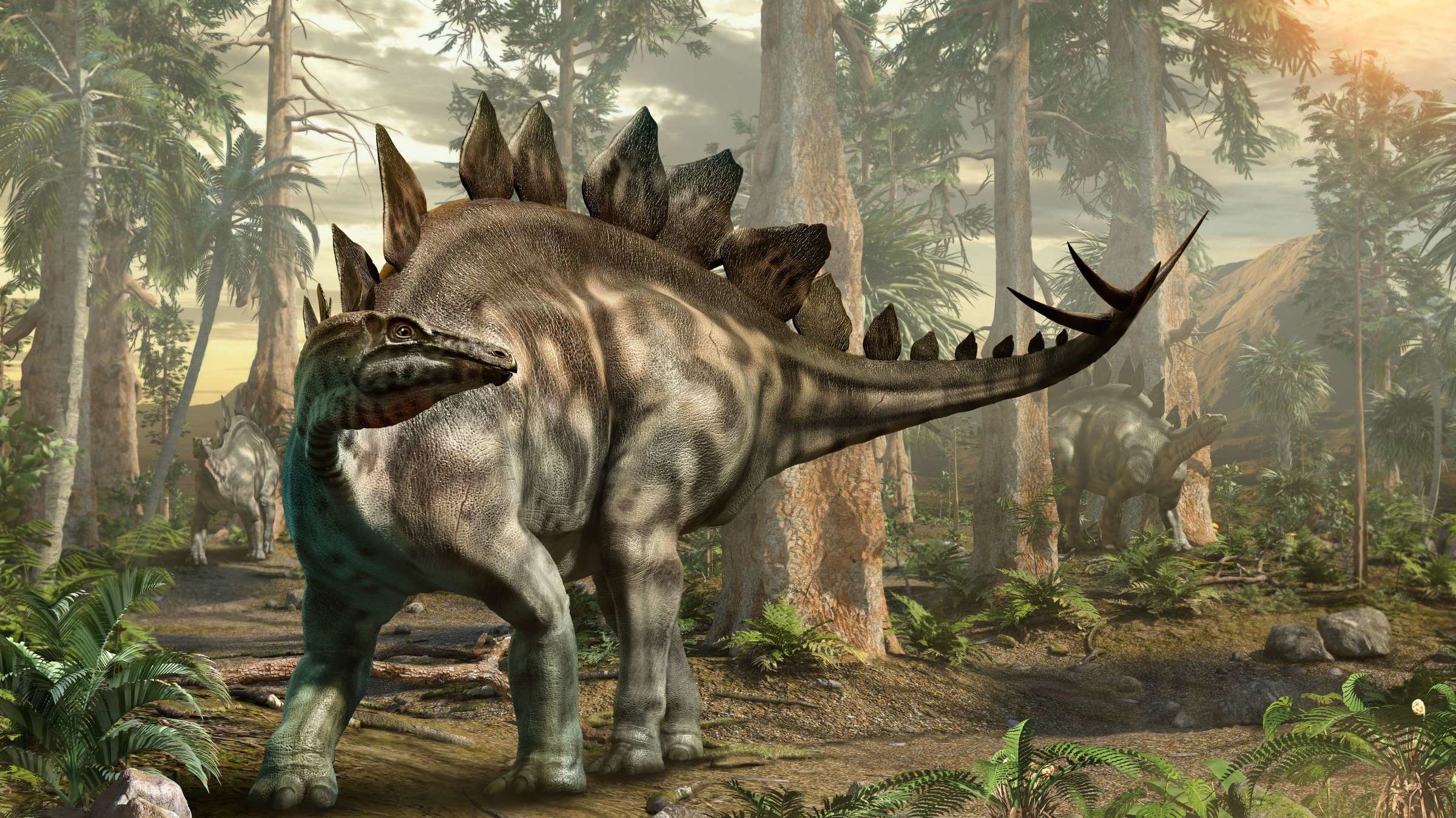 Stegosaurus Tracks Discovered | Mental Floss