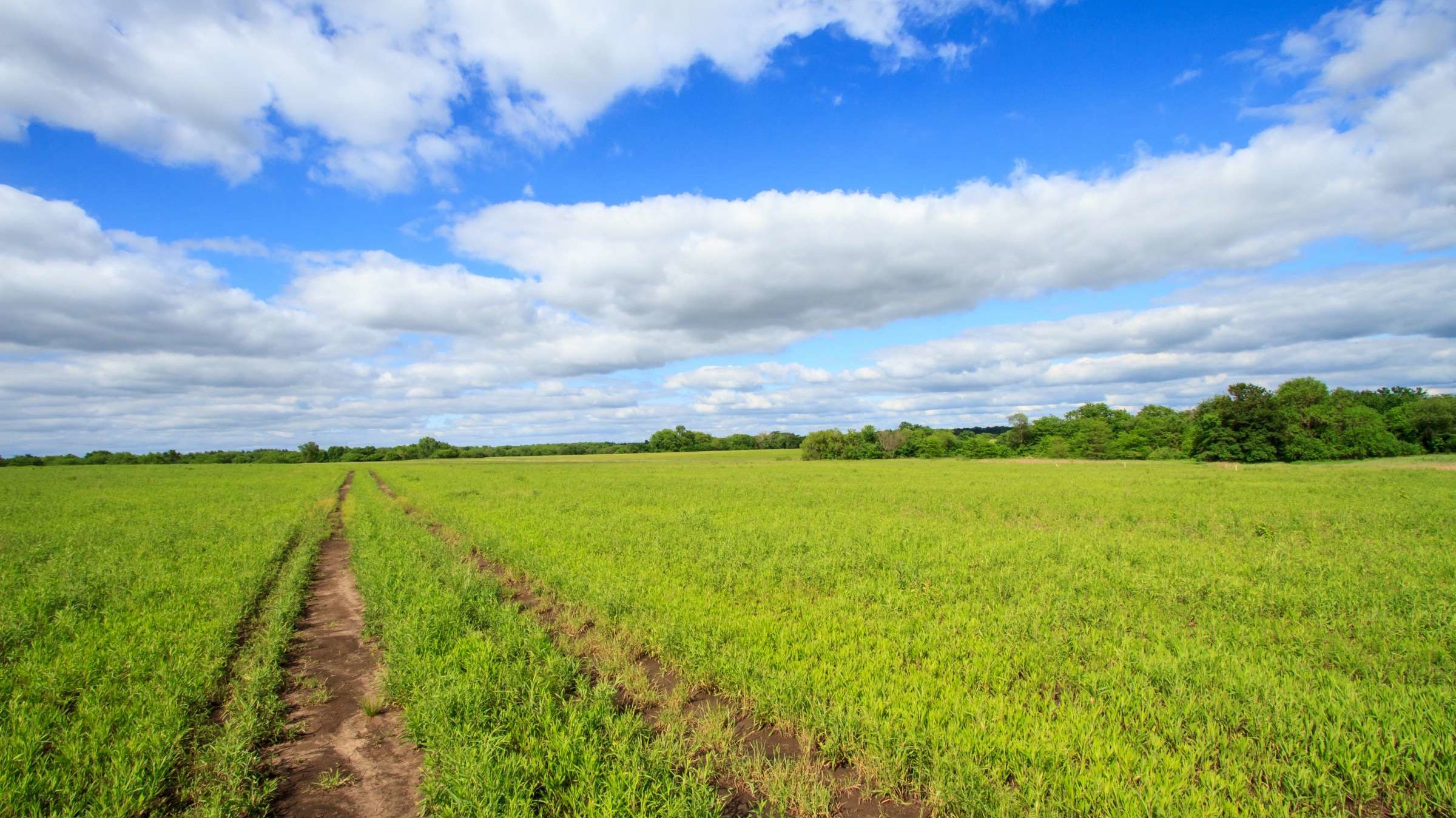 Bloody Benders Property for Sale Mental Floss