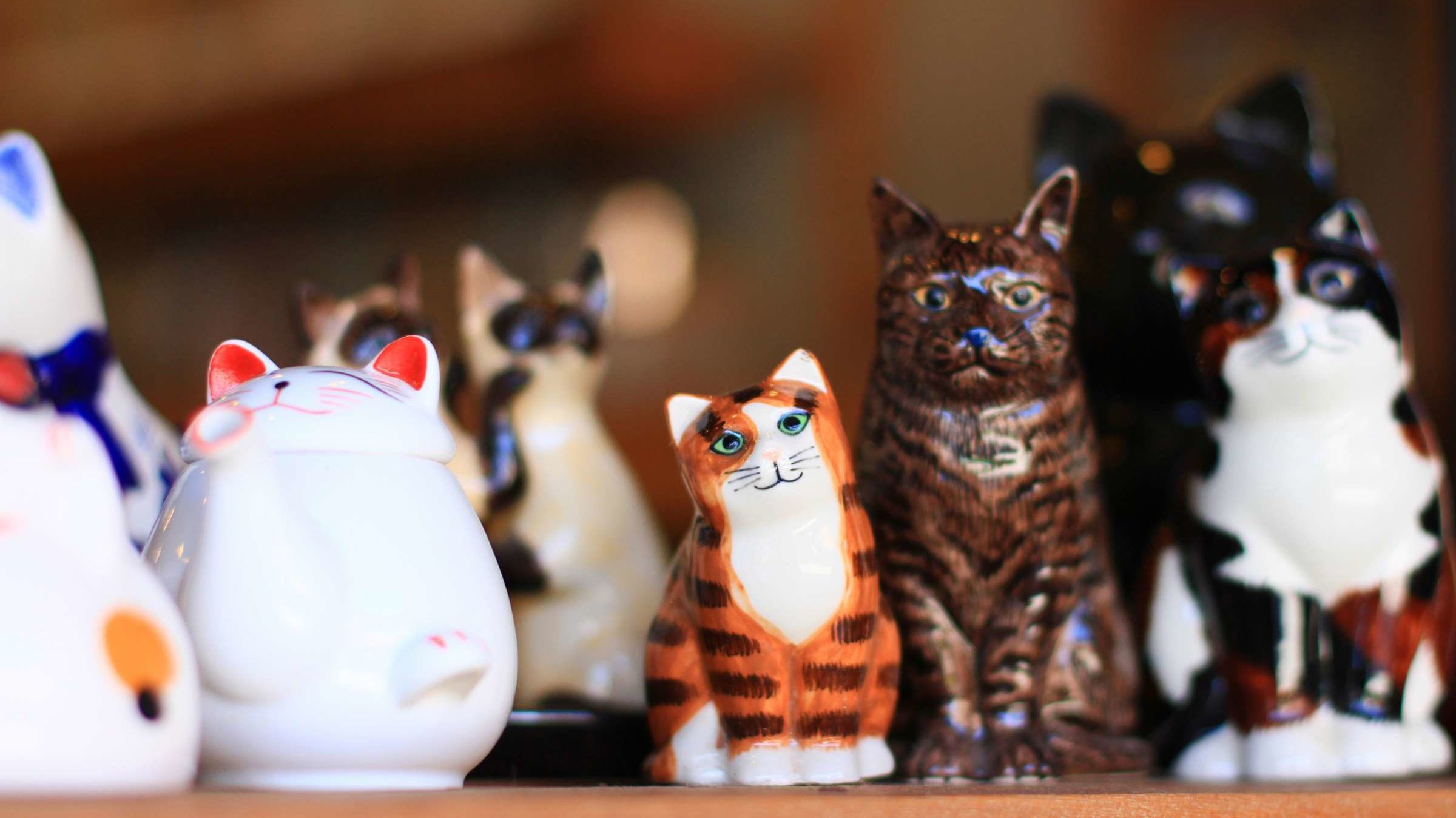Poland Is Residence to a Very Tiny Cat Museum Poland Is Residence to a Very Tiny Cat Museum