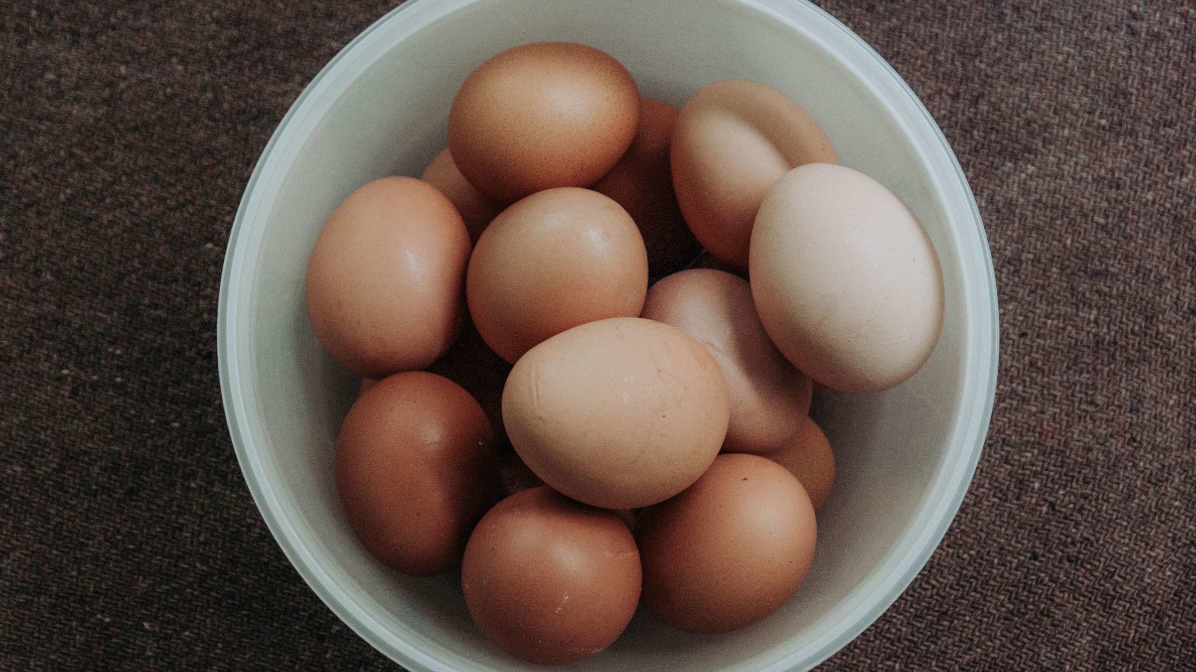 Яйца крупным планом. Почему яйца коричневые. Ведро полное яиц. Почему яйца серые