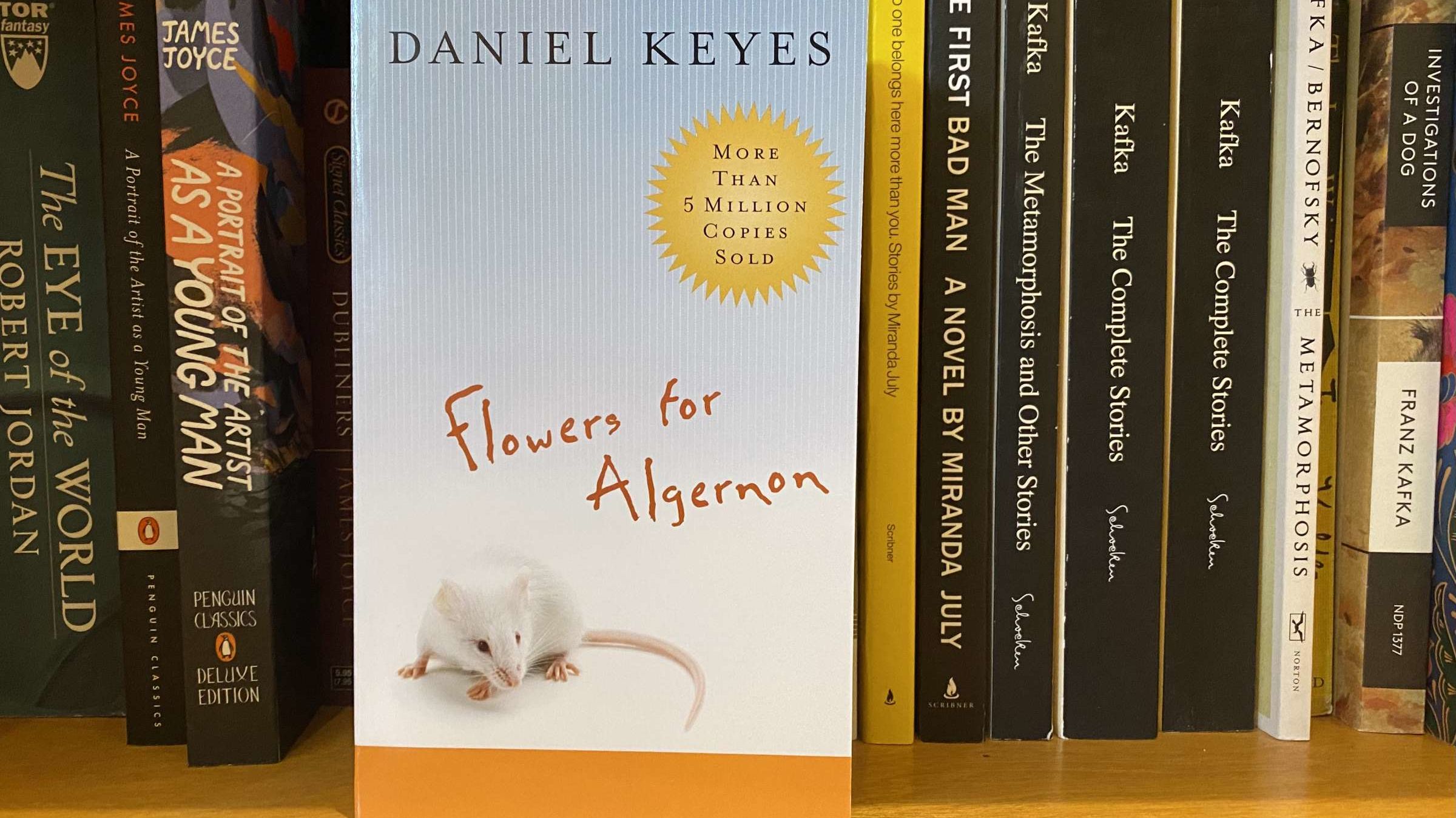 flowers for algernon critical essay