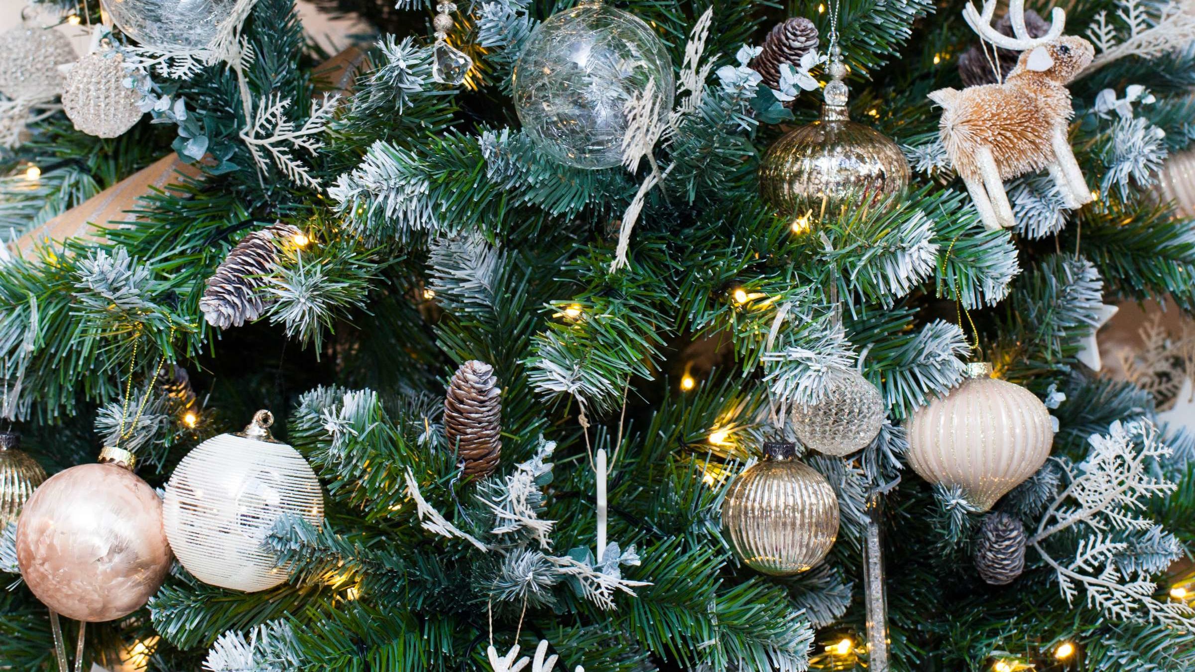 12 Day Of Christmas
