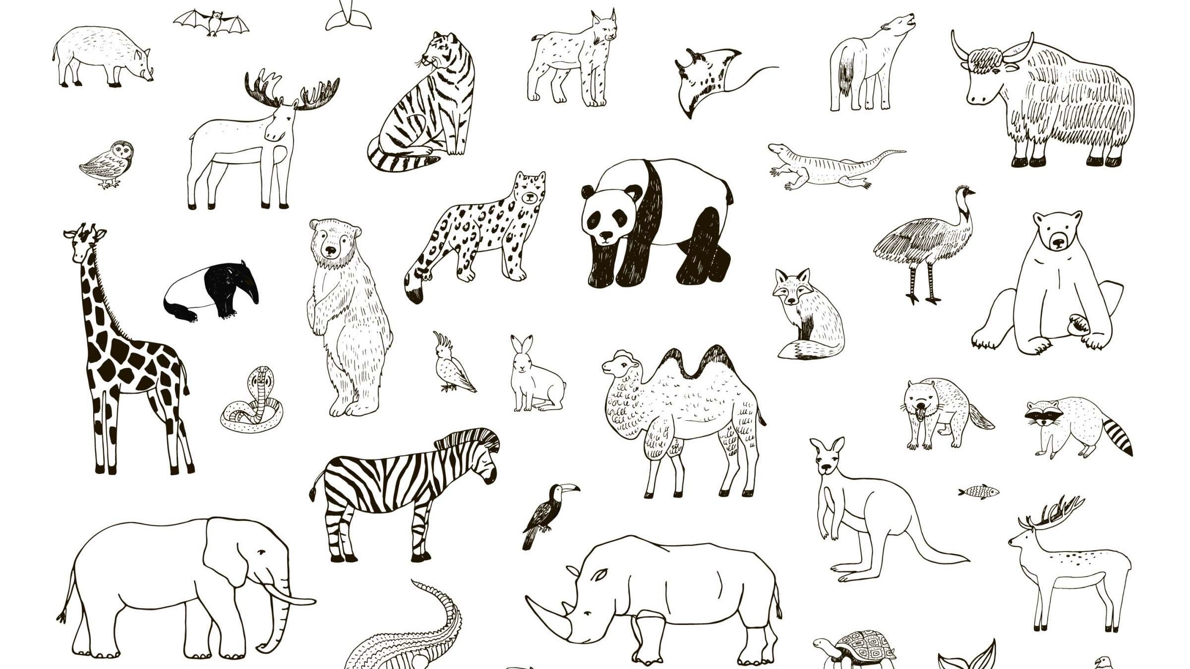 Quiz Can You Choose the Correct Answers Involving Lions, Tigers, and