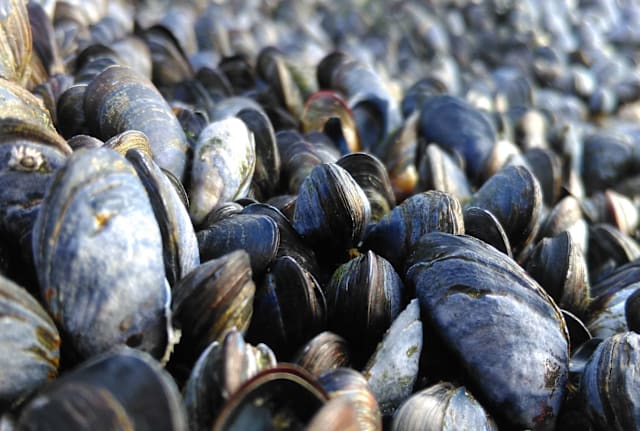 sketchleyprints/iStock via Getty Images