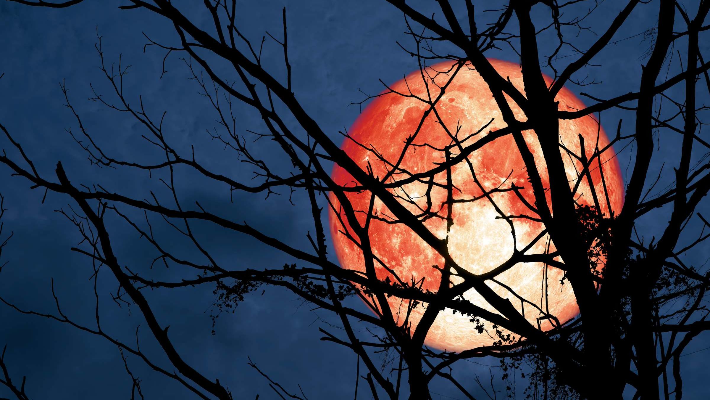 Full Hunter’s Moon Will Light Up The Sky This Weekend Mental Floss
