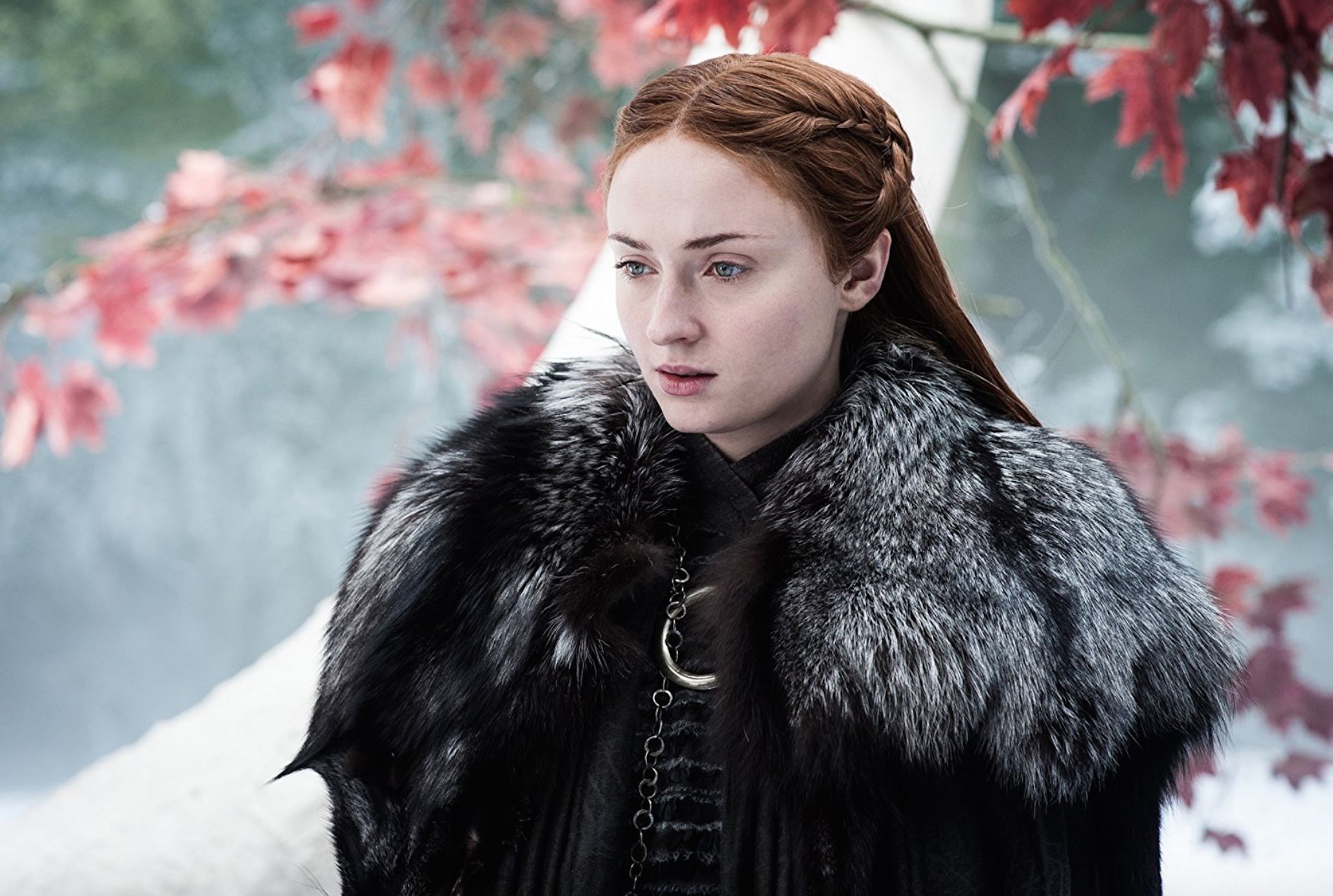 Sophie Turner Thinks Game Of Thrones Finale Will Divide Fans