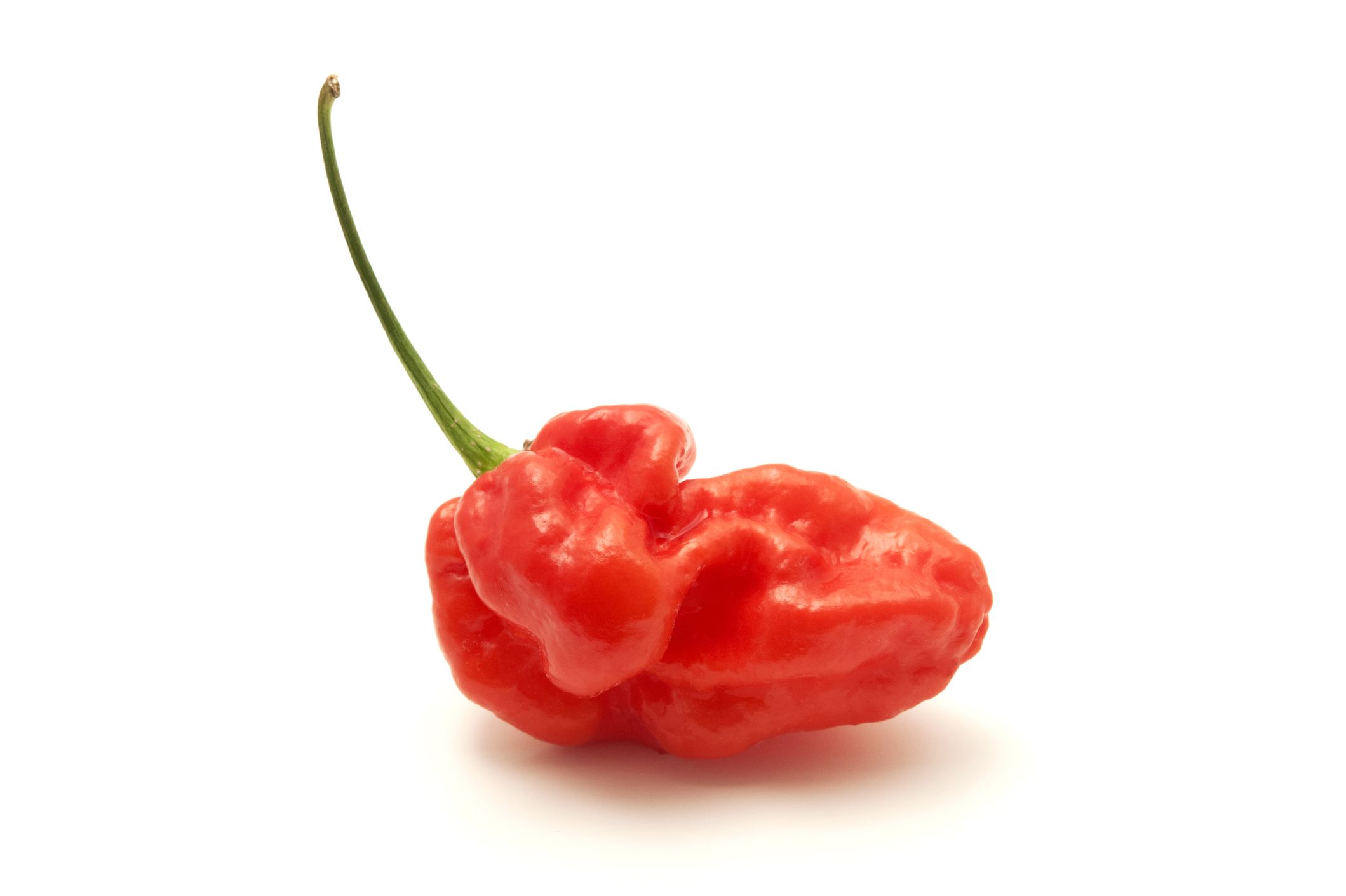 Farmer Sets Out To Grow A Pretty Plant Creates World S Hottest Pepper Instead Mental Floss