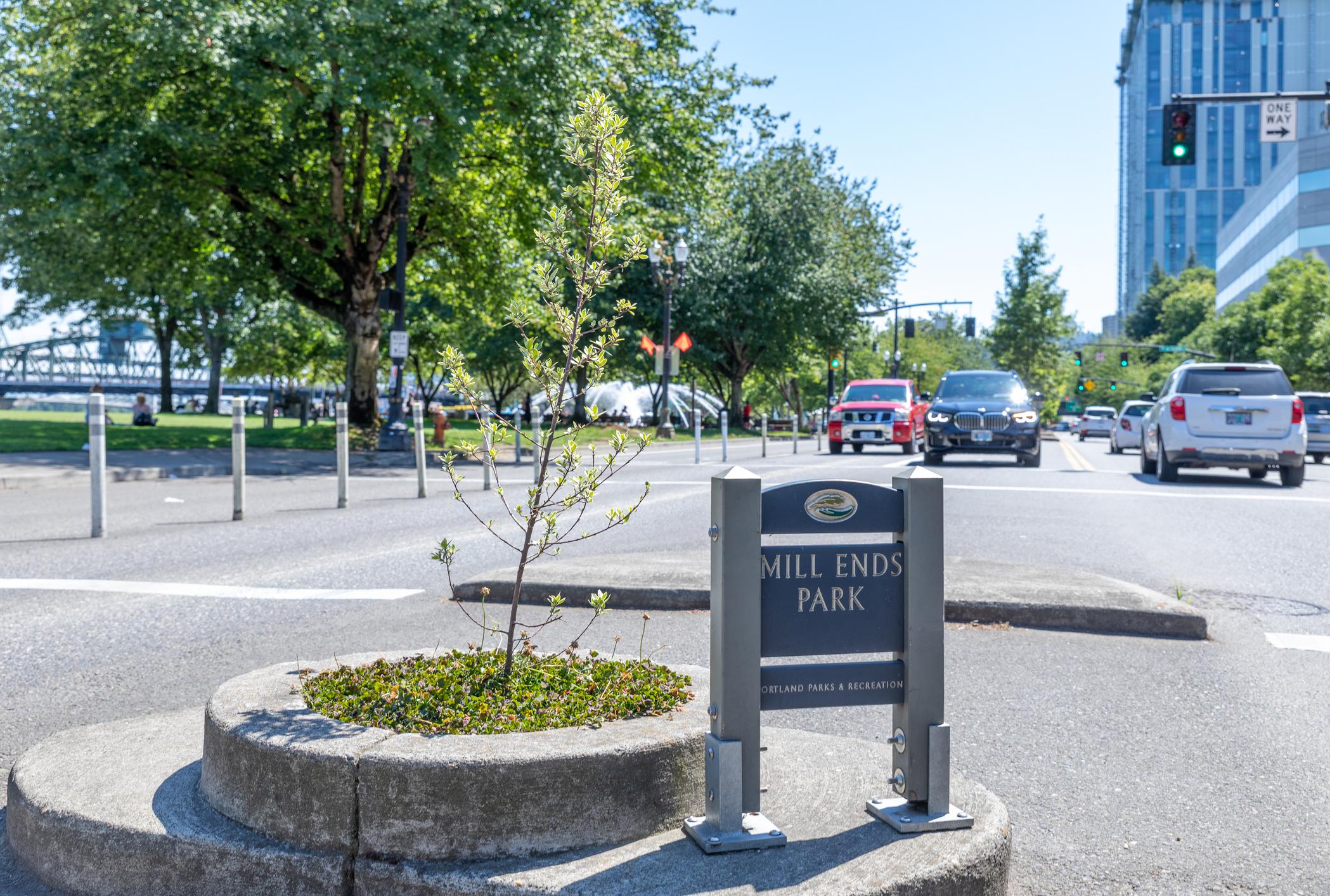 11 Facts About Mill Ends Park, Portland's Leprechaun Colony - Vimarsana News