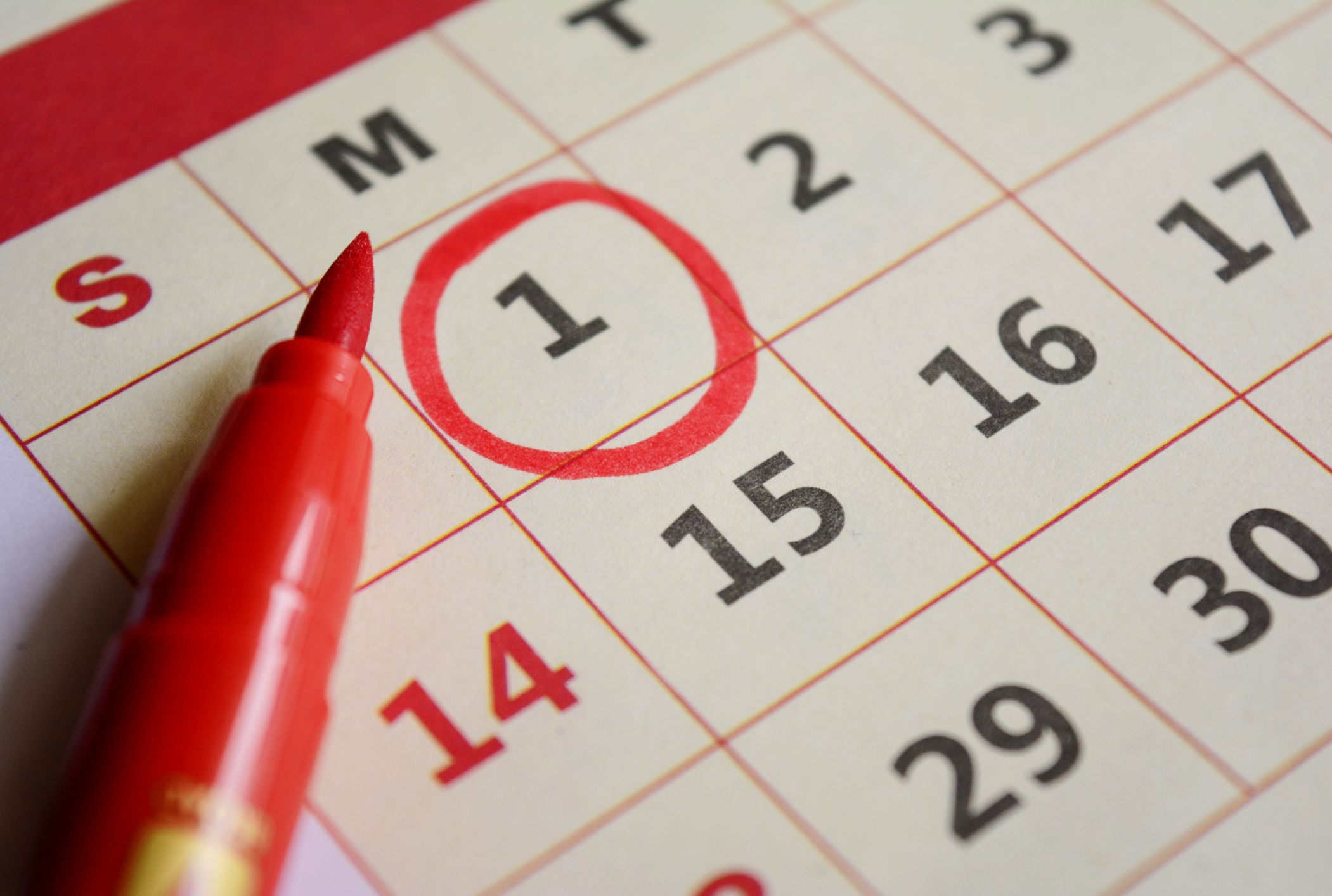 Things You Should Do At Least Once A Year Mental Floss