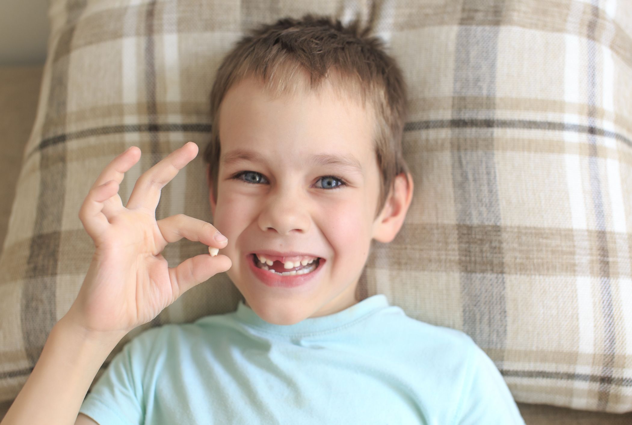 pic Show Me A Picture Of The Tooth Fairy In Real Life 13 facts about the tooth fairy mental