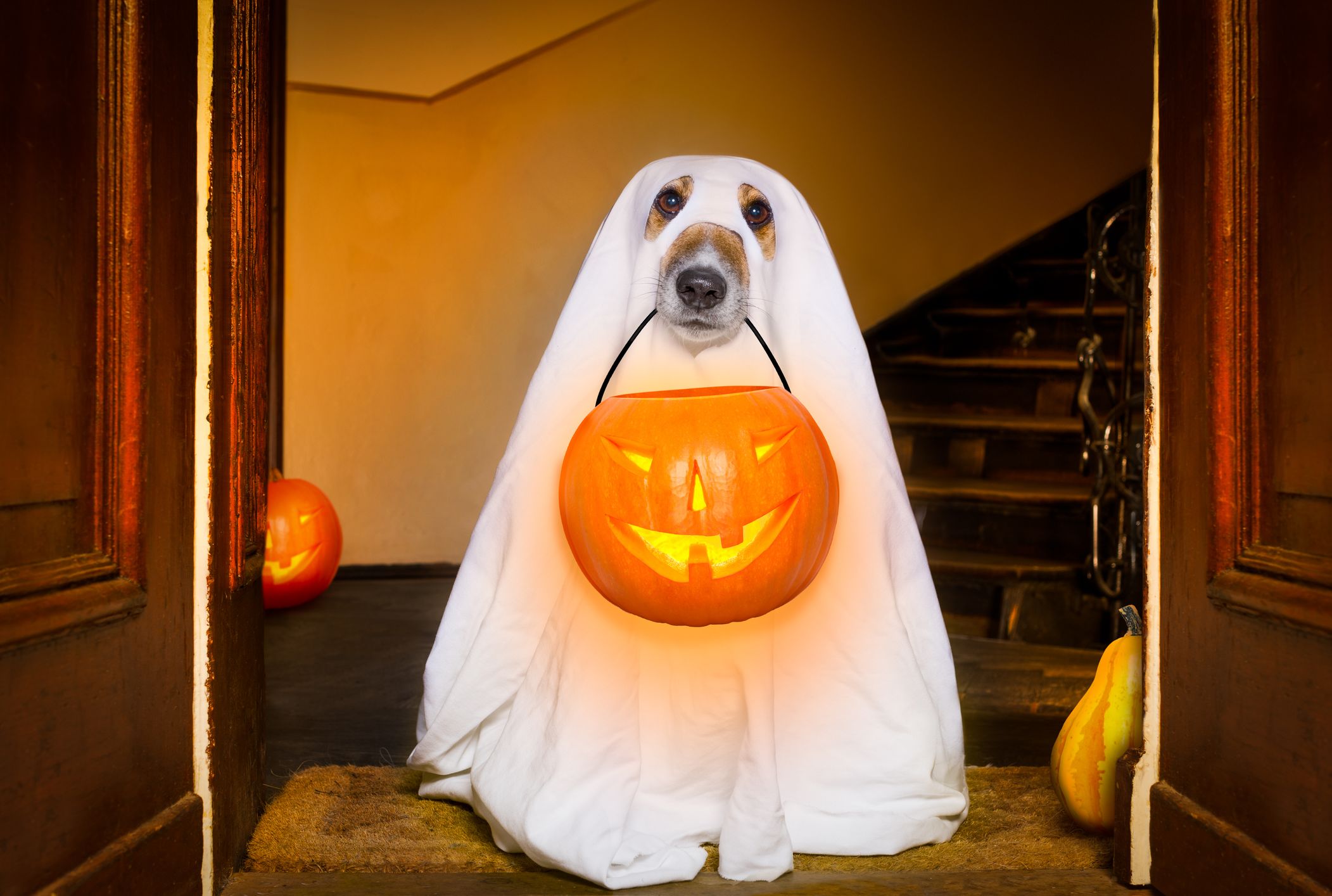 32 Awesome Halloween Decorations And Props You Can Get At Target
