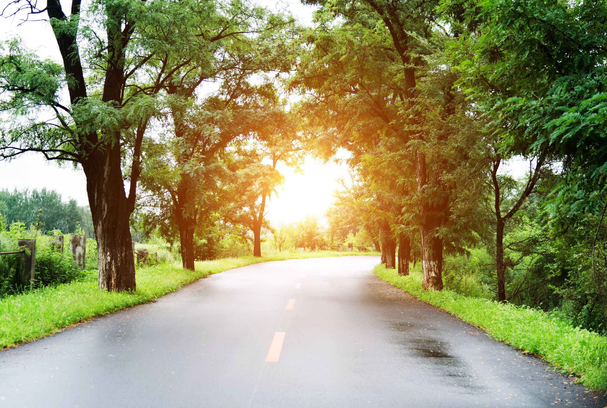 What If Two Roads Are Illusion What If >> Why Does The Road Look Wet On Hot Days Mental Floss What If Two Roads Are Illusion What If >> Why Does The Road Look Wet On Hot Days Mental Floss