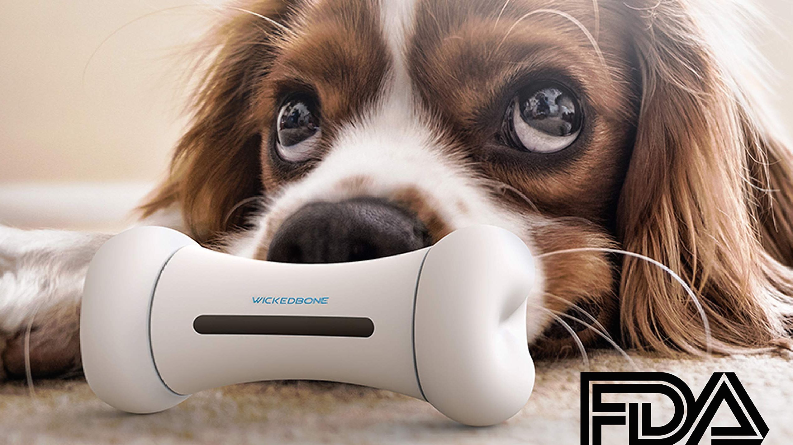 wicked bone dog toy amazon