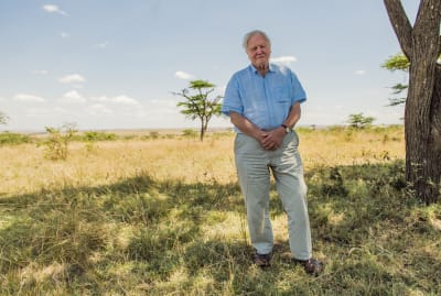 Sir David Attenborough pictured in the Maasai Mara, Kenya, in David Attenborough: A Life on Our Planet (2020).