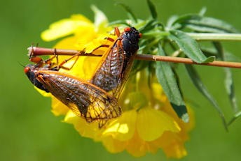 mmonia/iStock via Getty Images