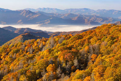 America's most-visited national park.