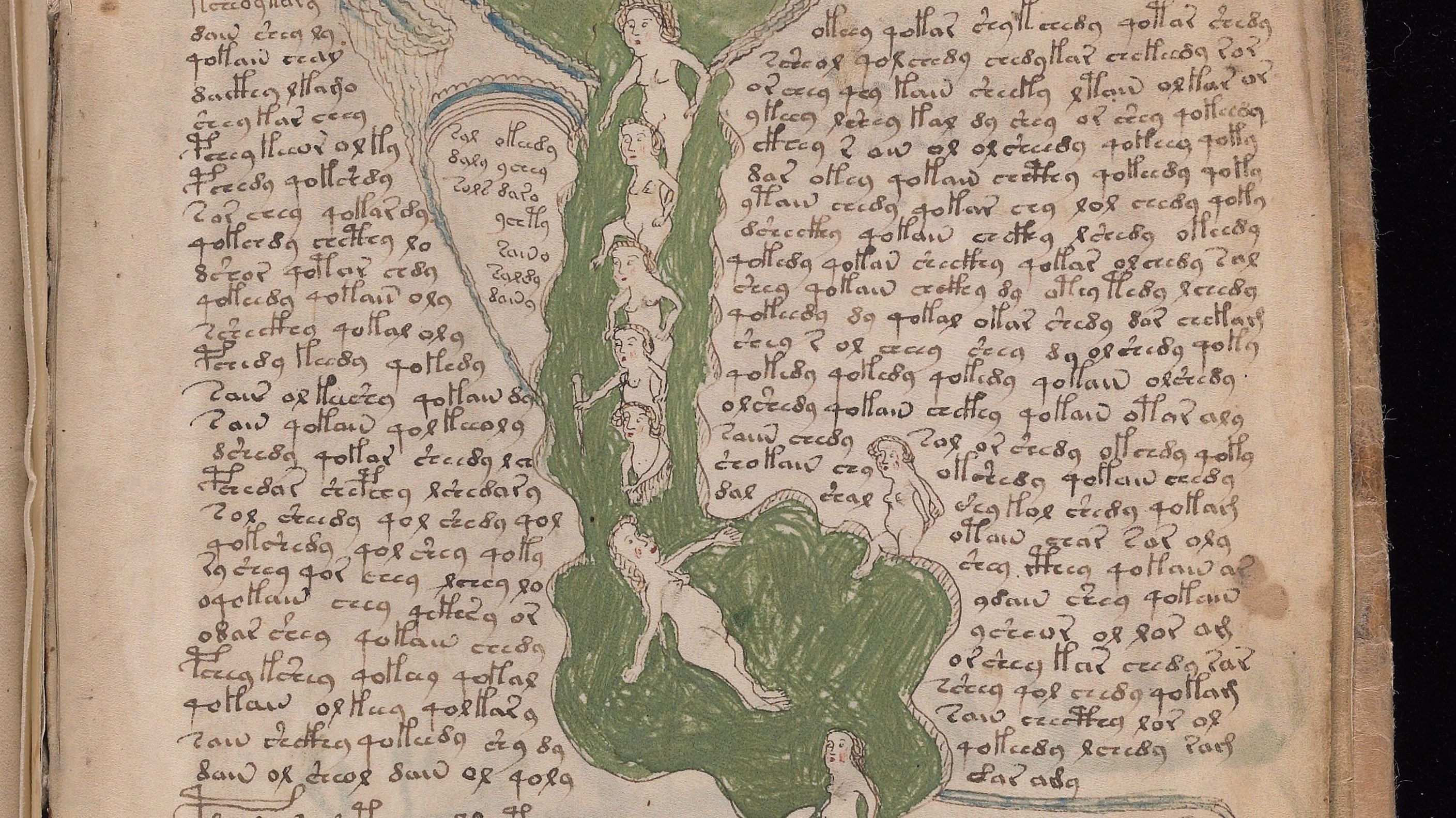 voynich manuscript drawings voynich manuscript drawings