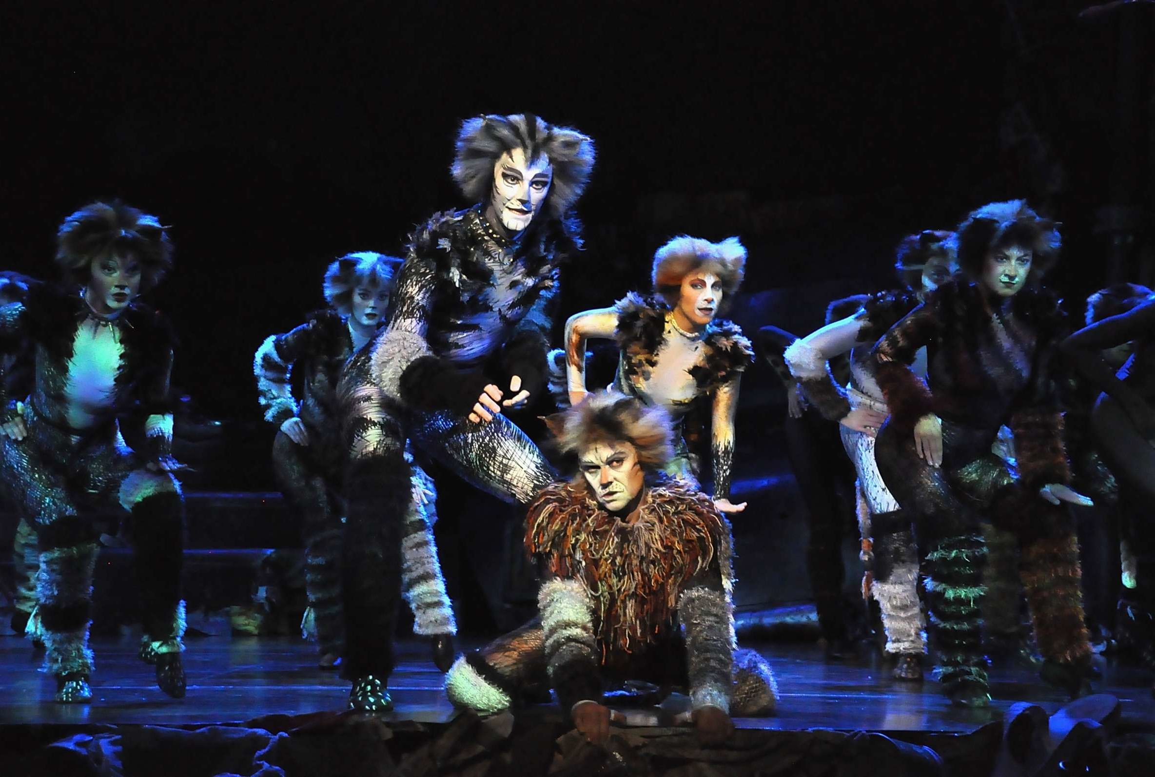 Cats Musical To Stream On Youtube Mental Floss