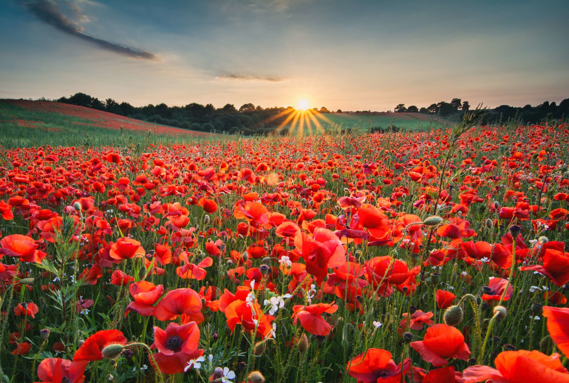 Facts About The Summer Solstice Mental Floss