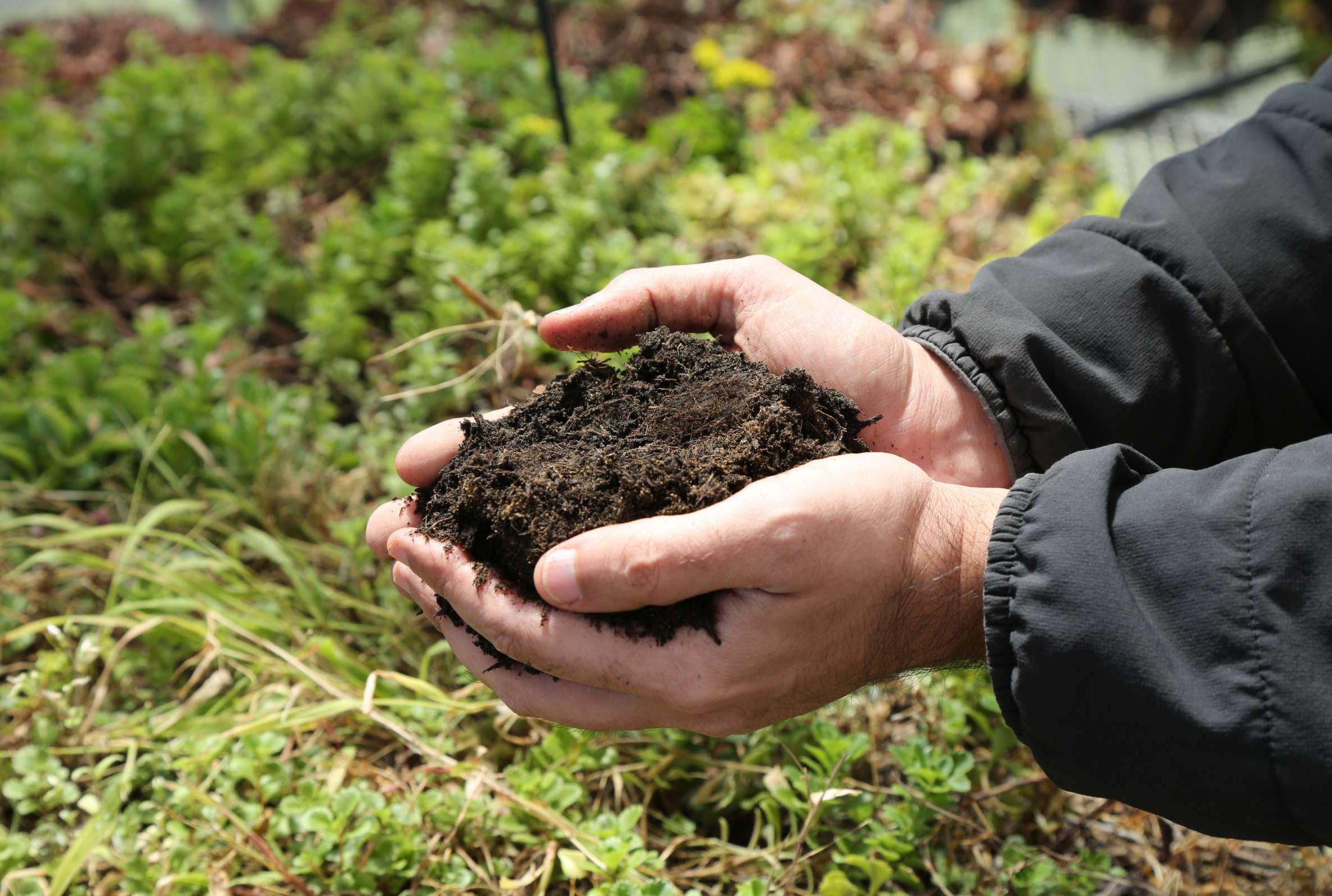 5 Surprising Uses for Recycled Poop - Vimarsana News