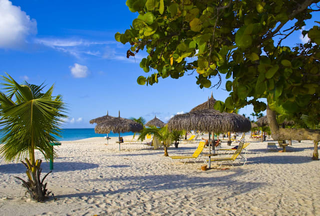 Choose your new cubicle.