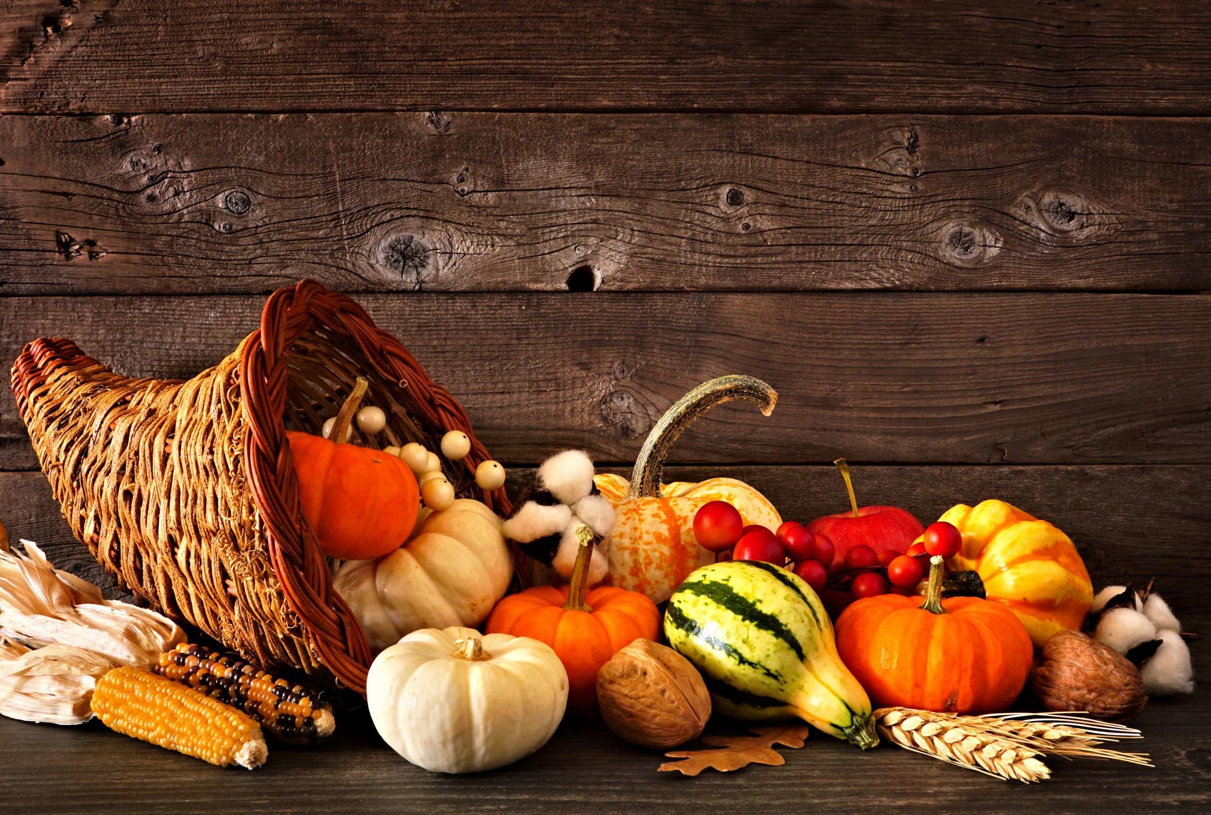 61 Thanksgiving Facts Mental Floss