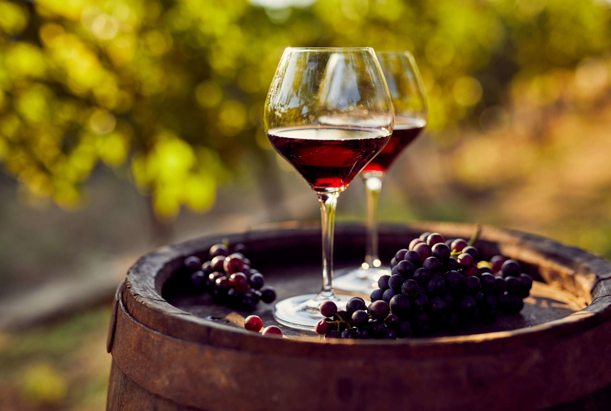 Wine Prices Drop Due To Grape Surplus Mental Floss