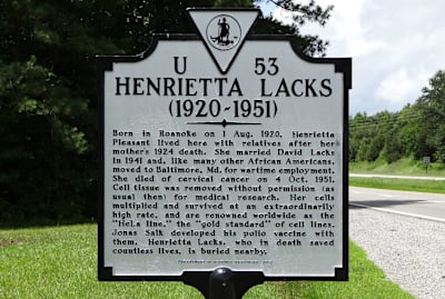 A historical marker in Clover, Virginia, honors Henrietta Lacks.