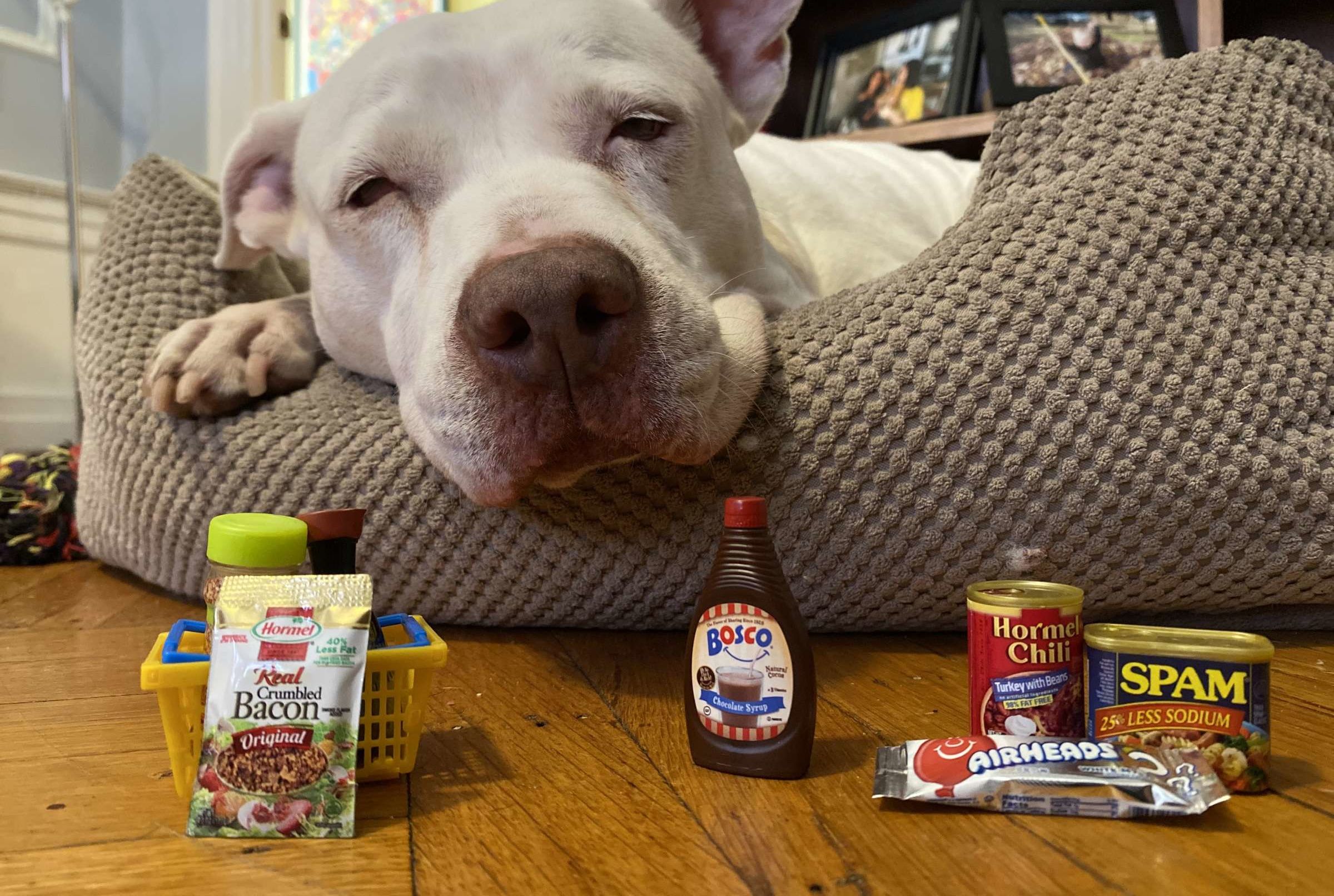 6 Reasons Why We Love Small Cute Things According To Science Mental Floss