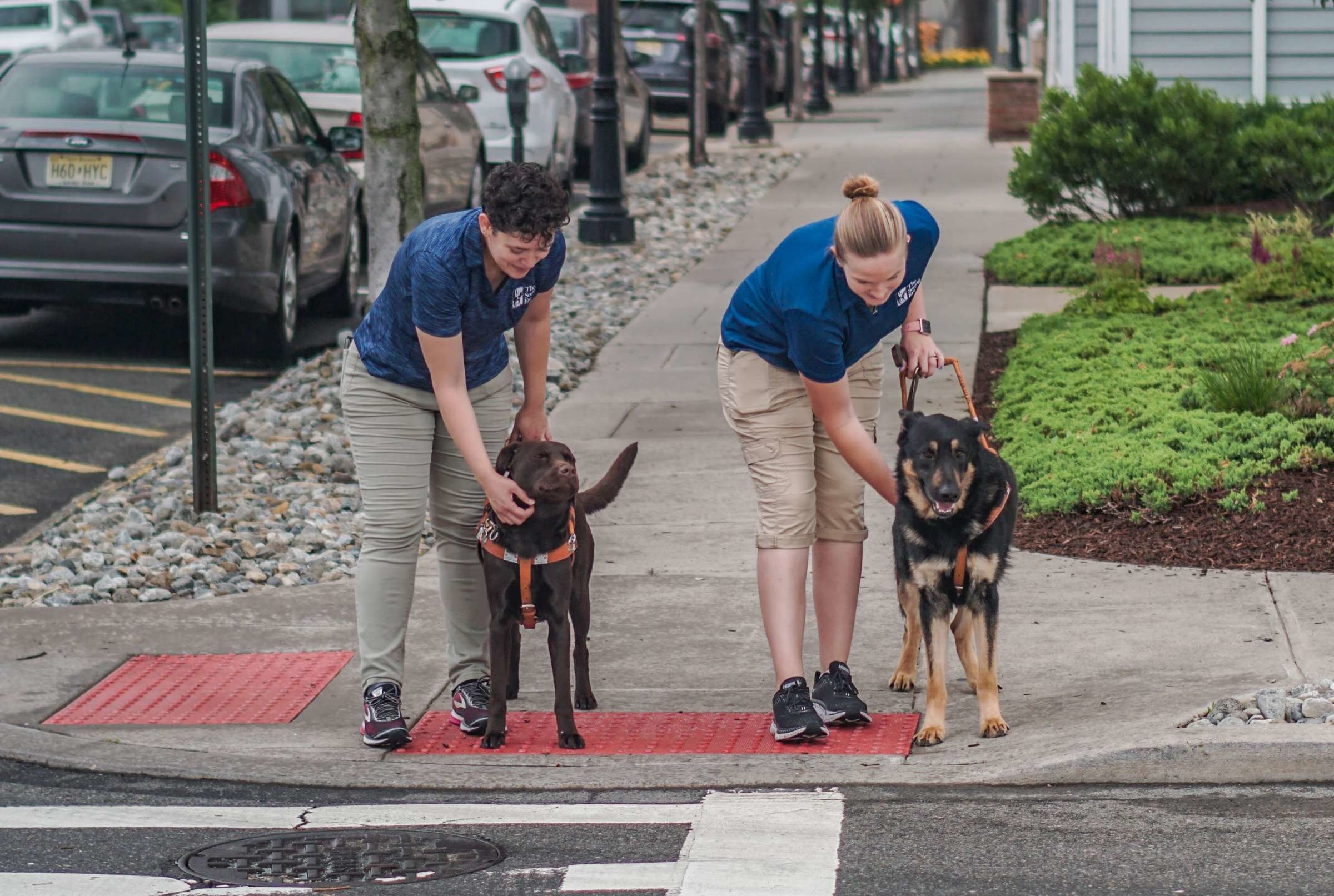 Seeing Eye Dog Trainer Secrets Mental Floss