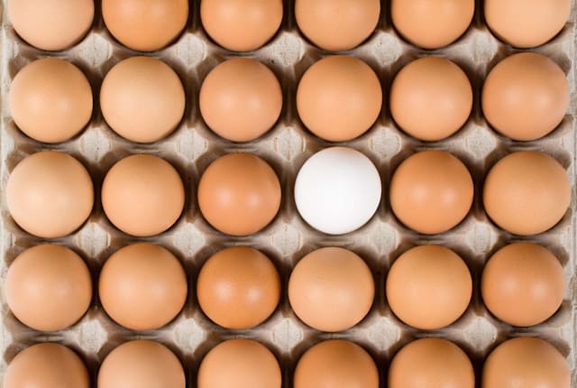 AngiePhotos/iStock via Getty Images