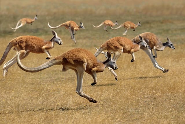 slowmotiongli/iStock via Getty Images