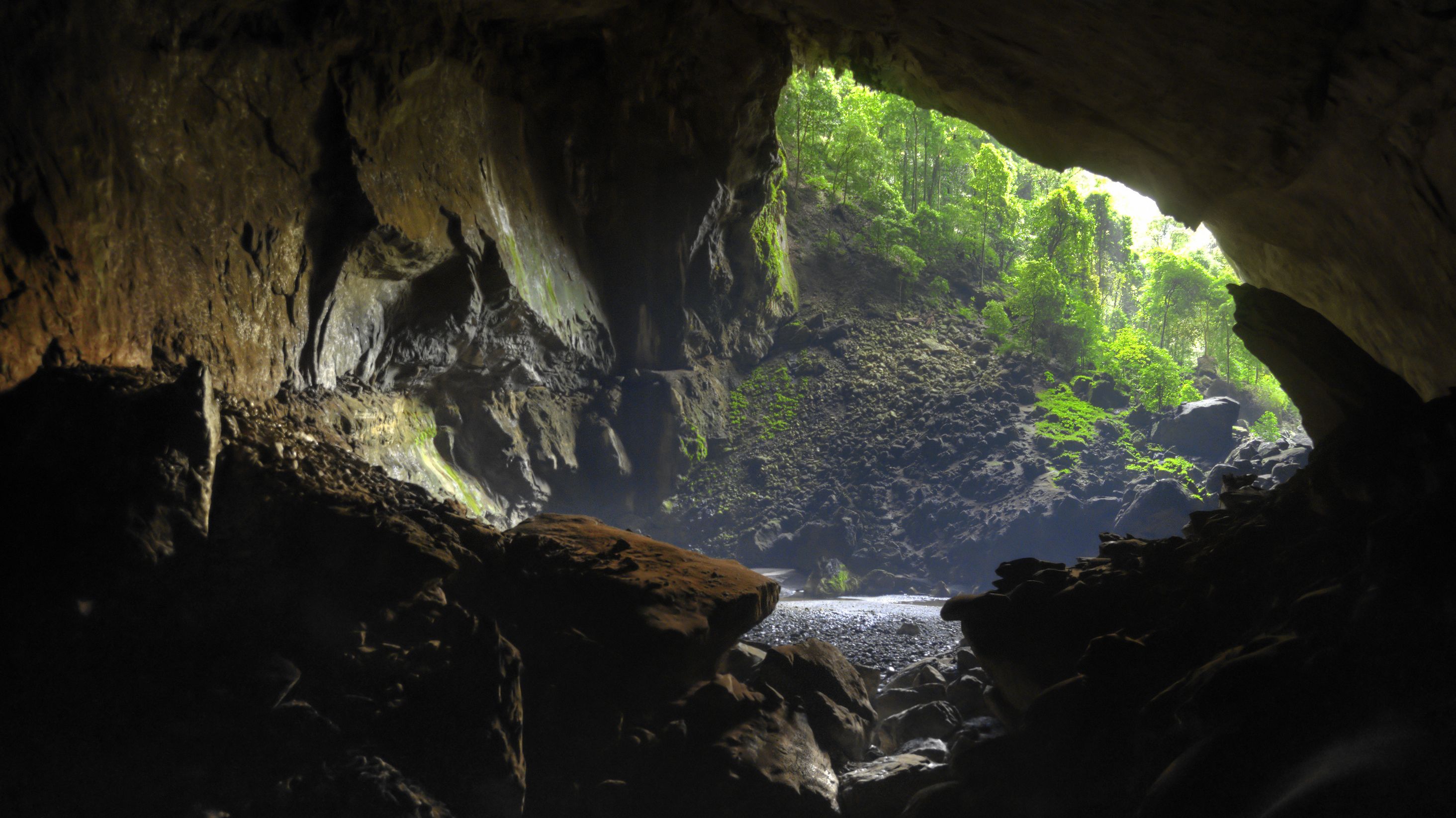 Scientists Name Brazilian Cave Spider After Aragog from Harry Potter