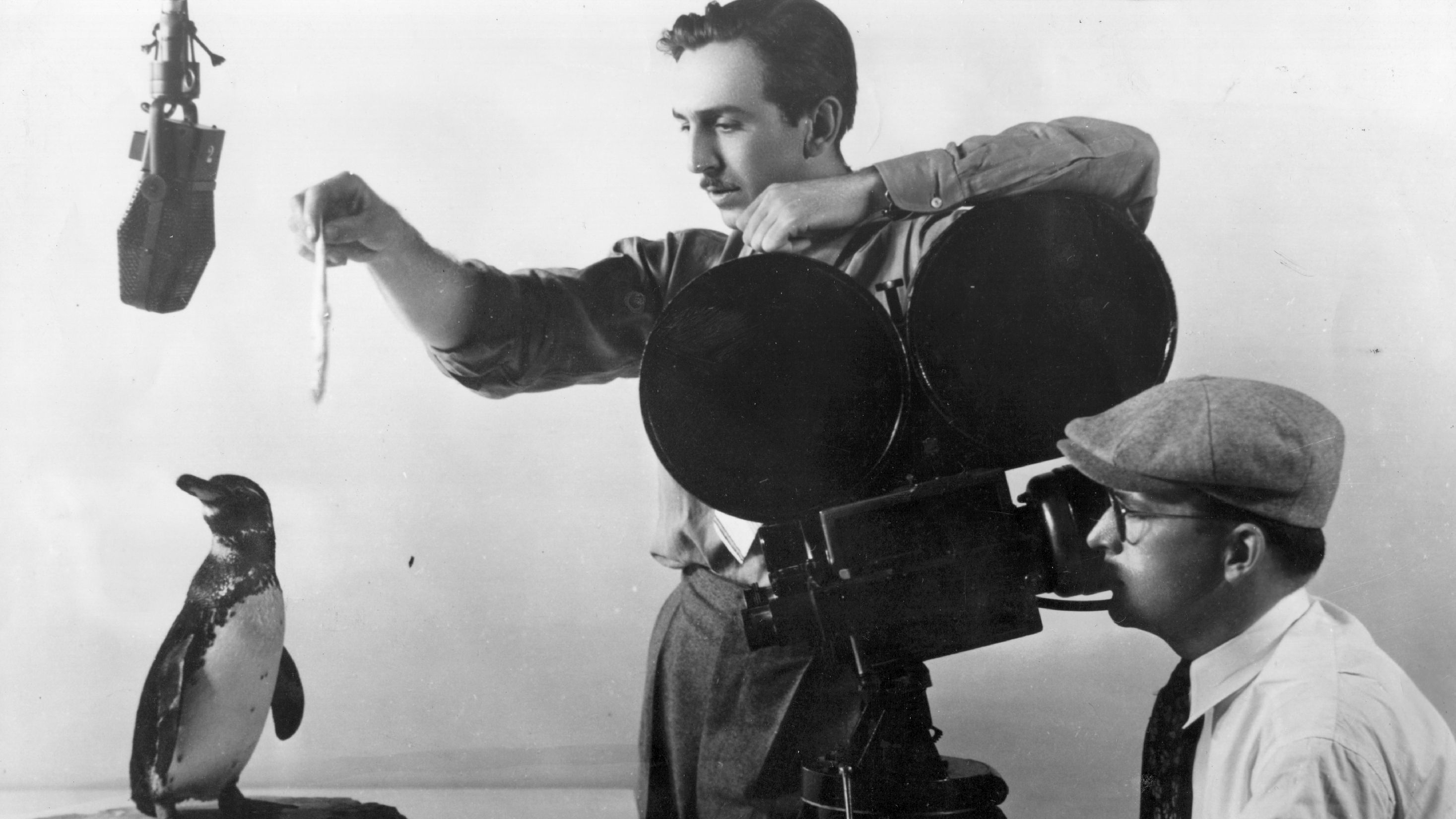Walt Disney Facts Mental Floss