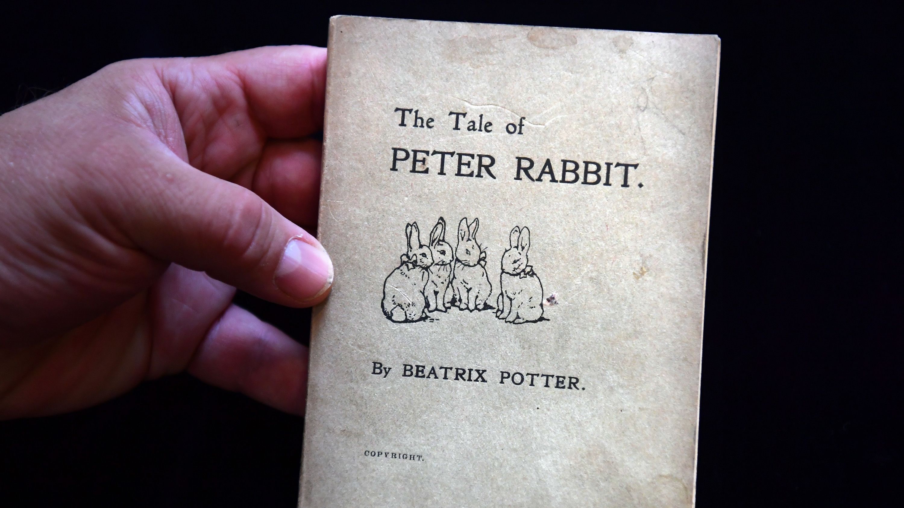 Peter Rabbit Facts