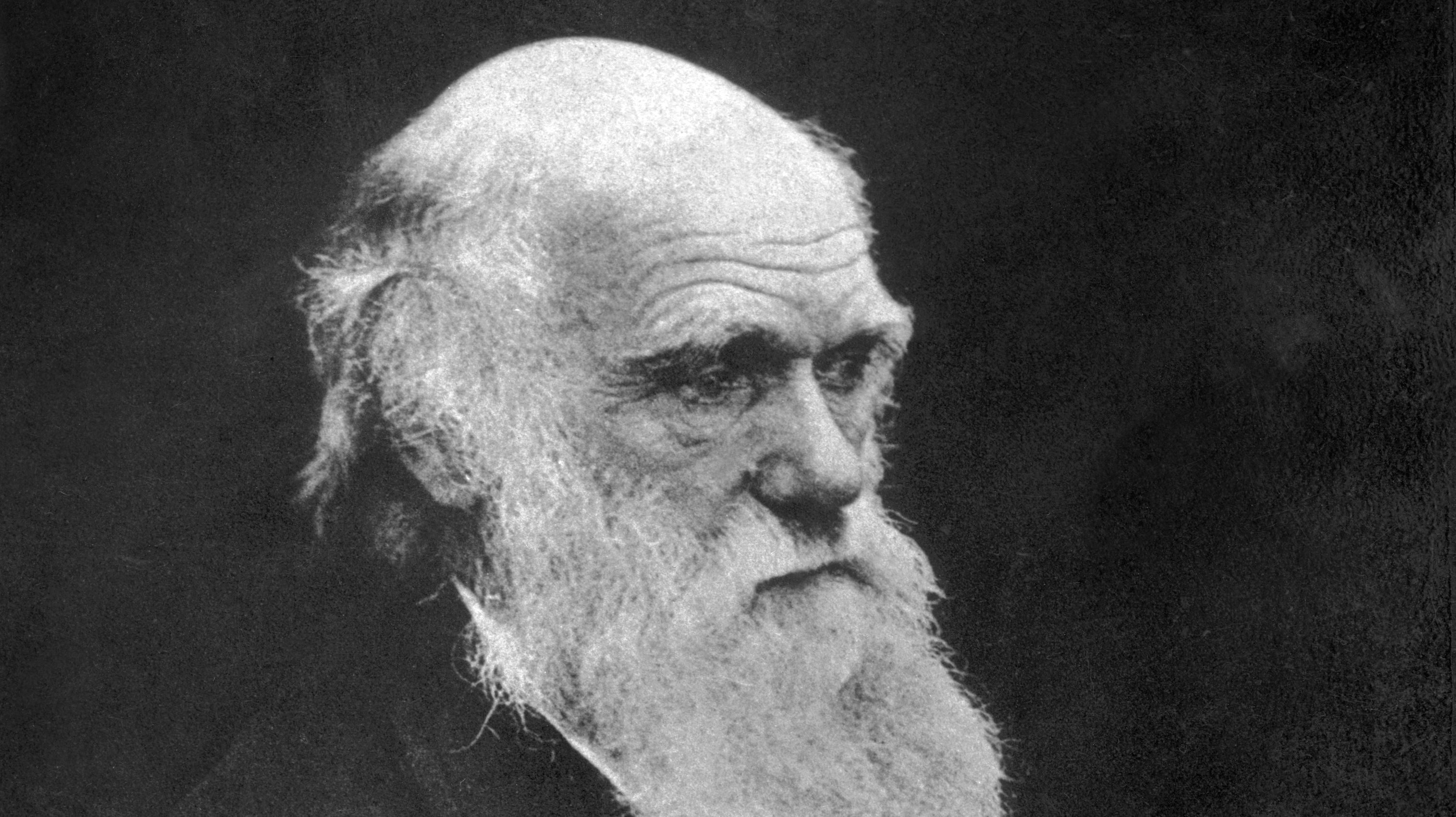 The Color Dictionary Darwin Used to Describe the Natural World, Pre ...