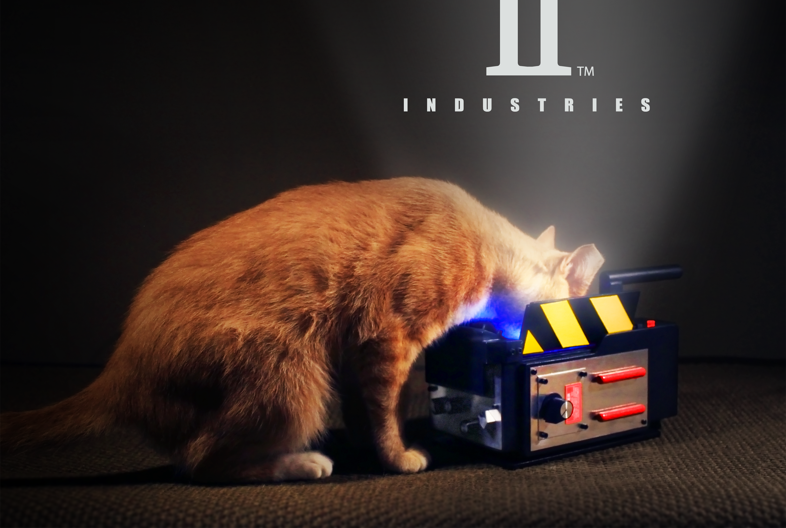 Get Your Cat In Touch With Their Inner Ghostbuster With This Ghost