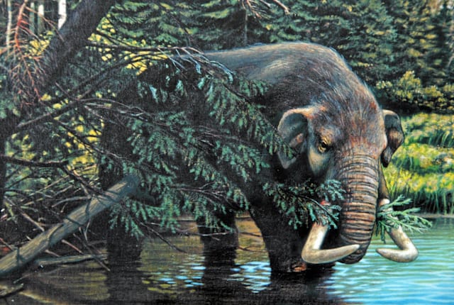 James St. John, Flickr // CC BY 2.0