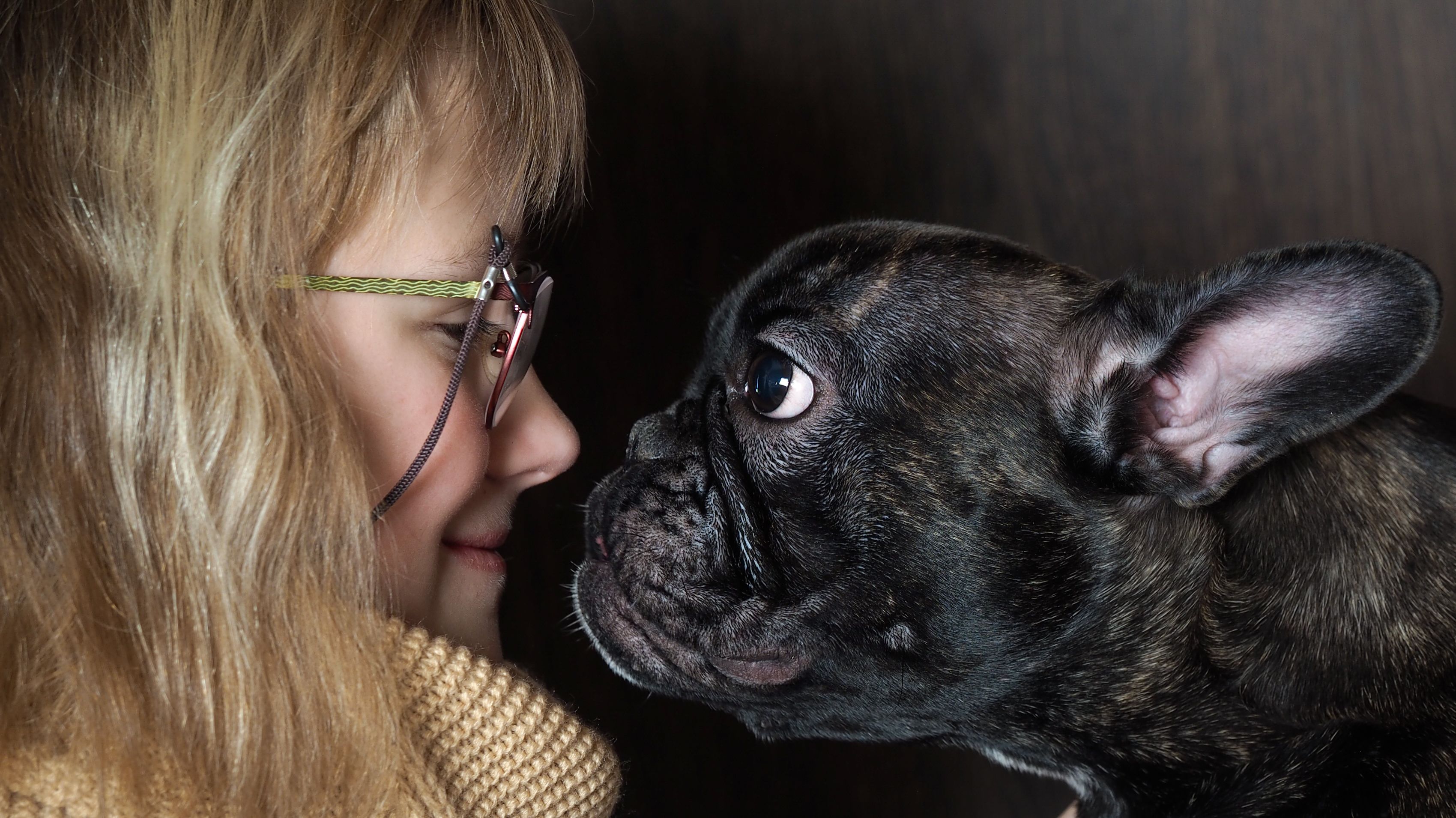Do Dogs Understand What You’re Telling Them? Scientists Are Scanning